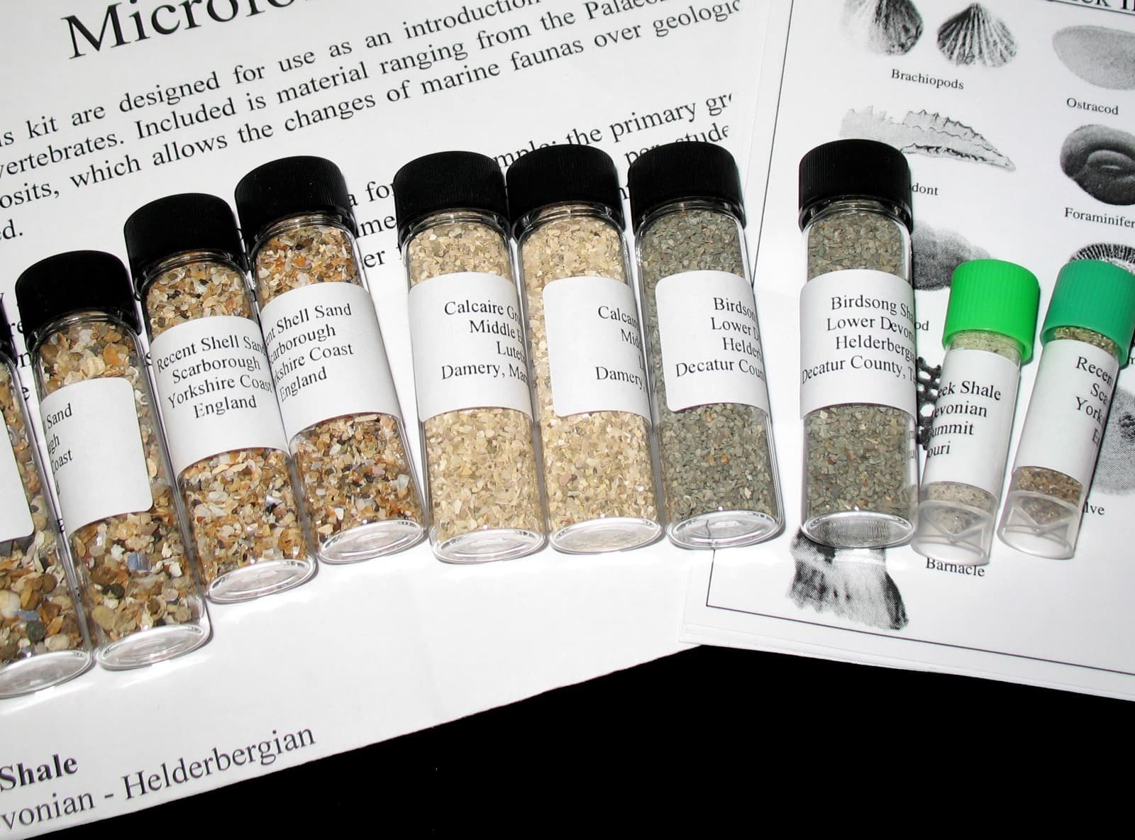 Introduction to Micro fossils teacher kit ~30 students microscope teaching 2