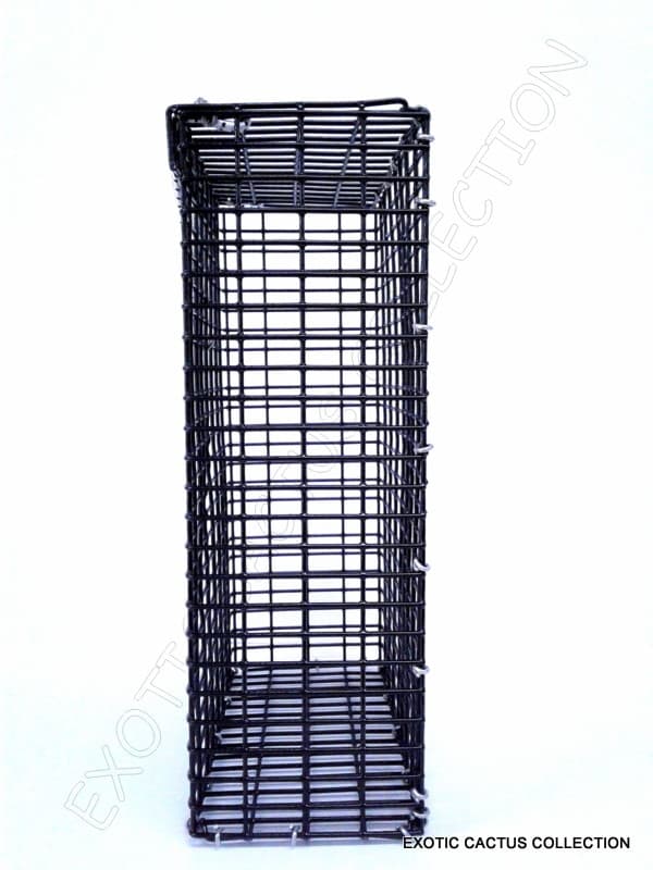 CHUM BOX marine grade pvc coating black wire mesh pot fishing bait cage 12x8x4 4