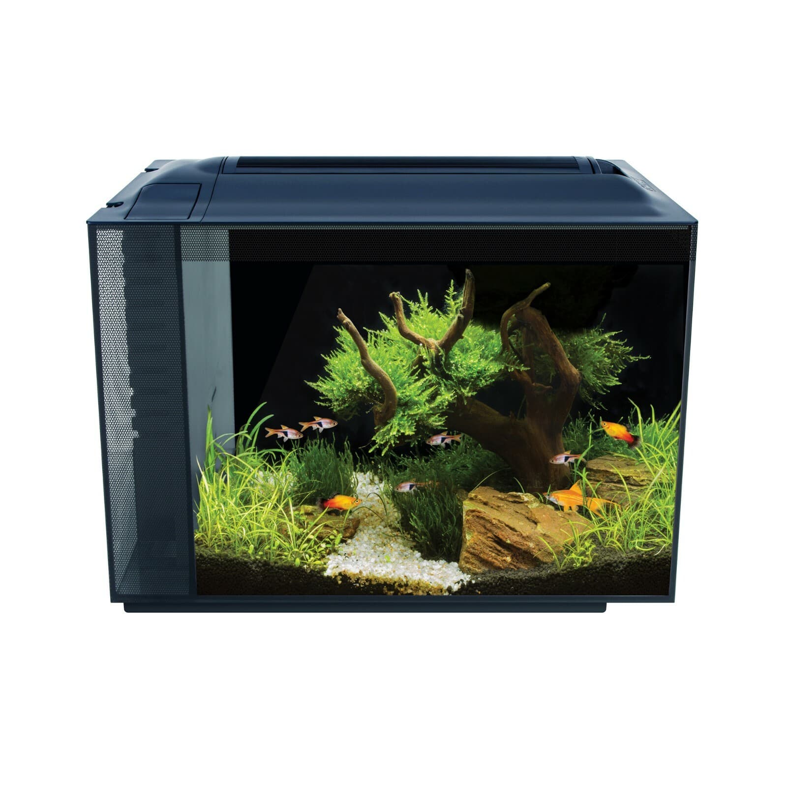 FLUVAL SPEC AQUARIUM KIT – BLACK - 16 GALLON - 10525 2