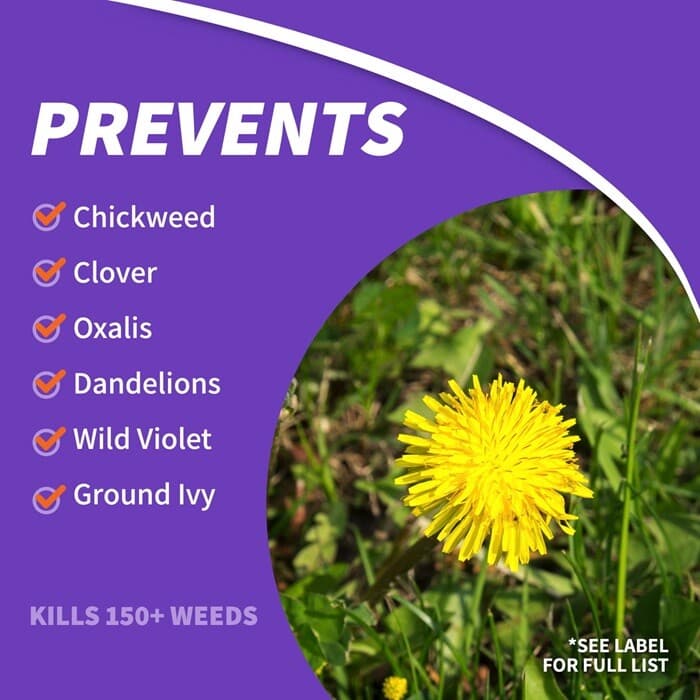 Bonide 061 Concentrate Chickweed Clover and Oxalis Weed Killer 16 oz Pint 4