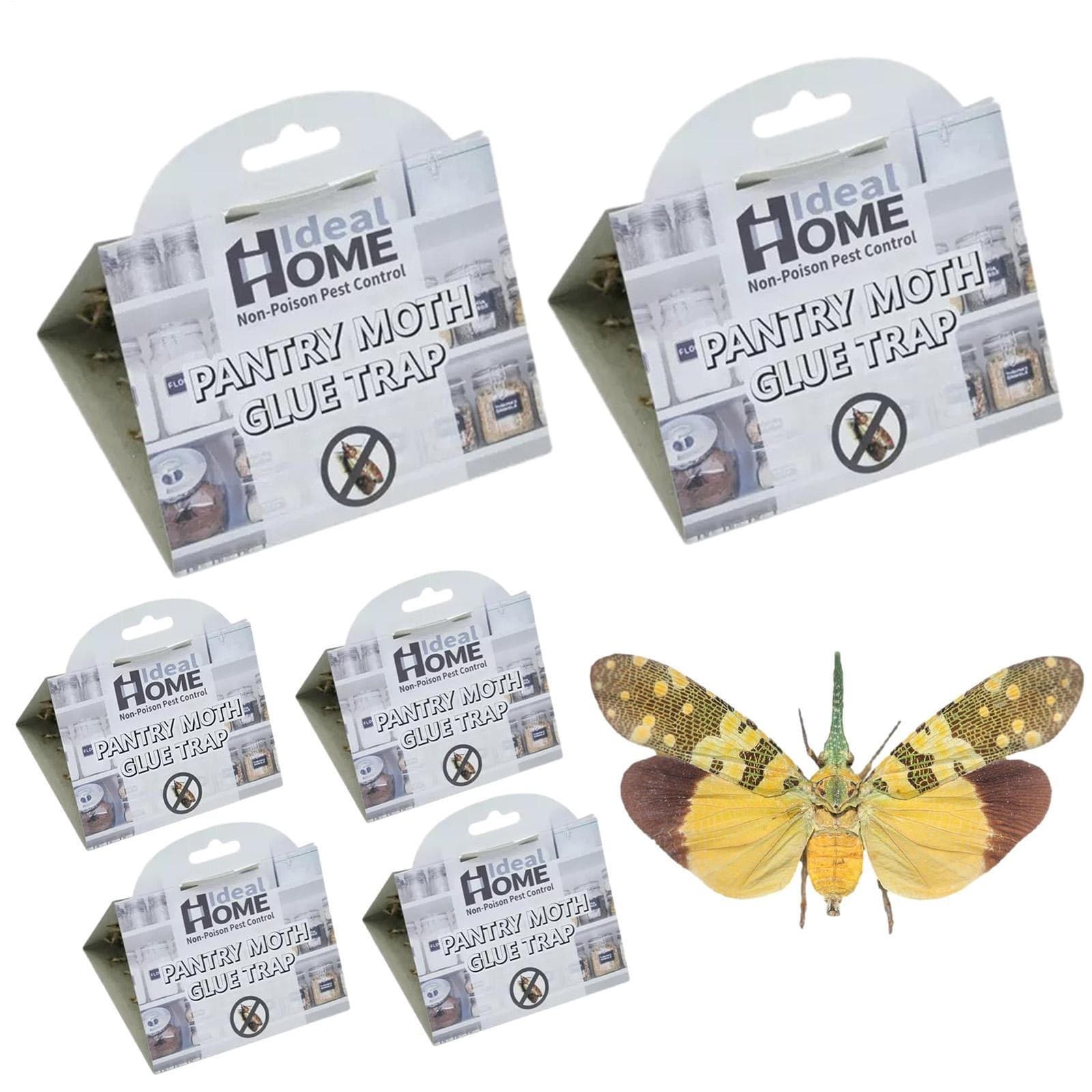 6PCS Moth Traps Clothes And Pantry Moth Traps Sticky Ecofriendly Safe Fly Catche 3