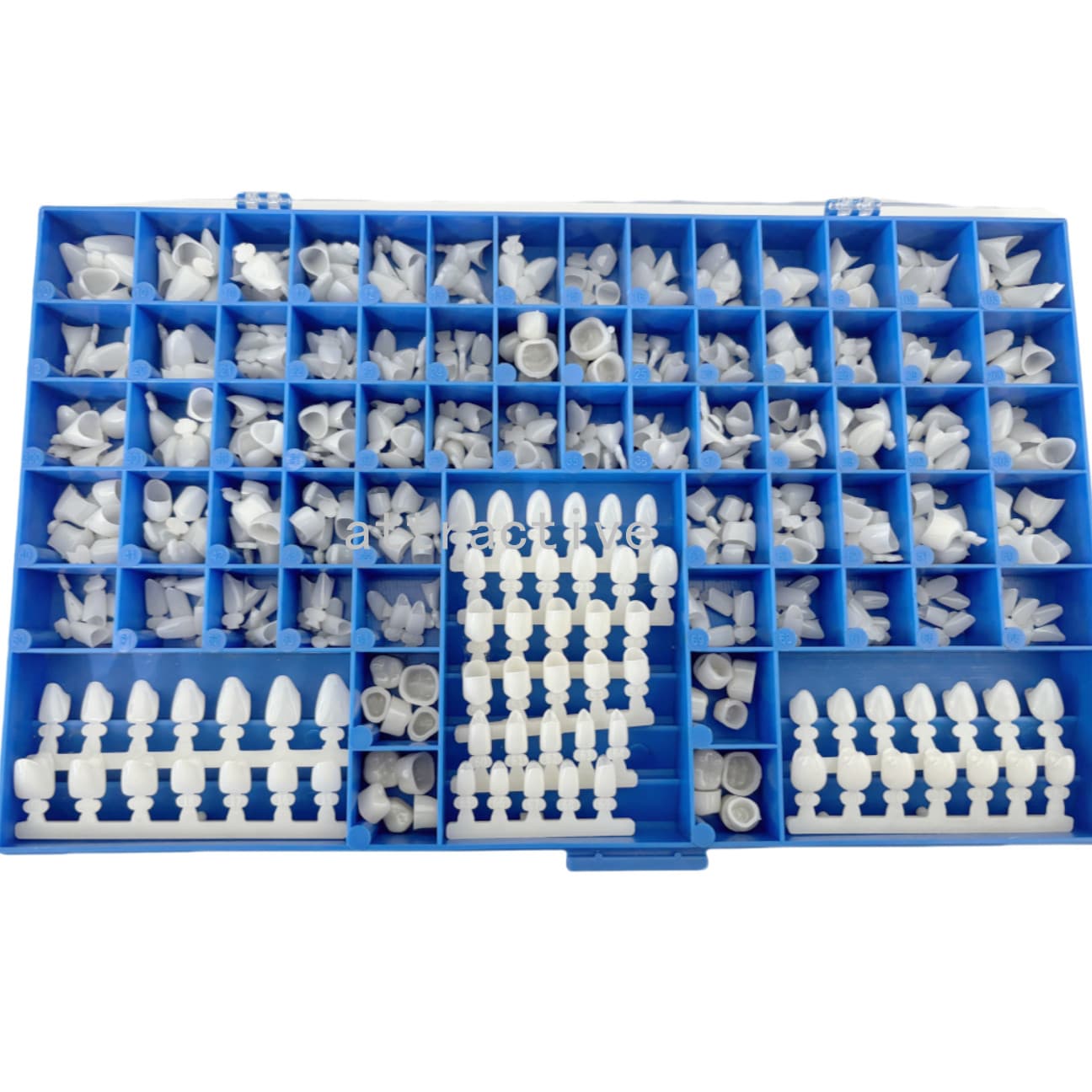 390Pcs Temporary Dental Crowns 66Size Crown Mold Guides Premolar Molars Anterior 4