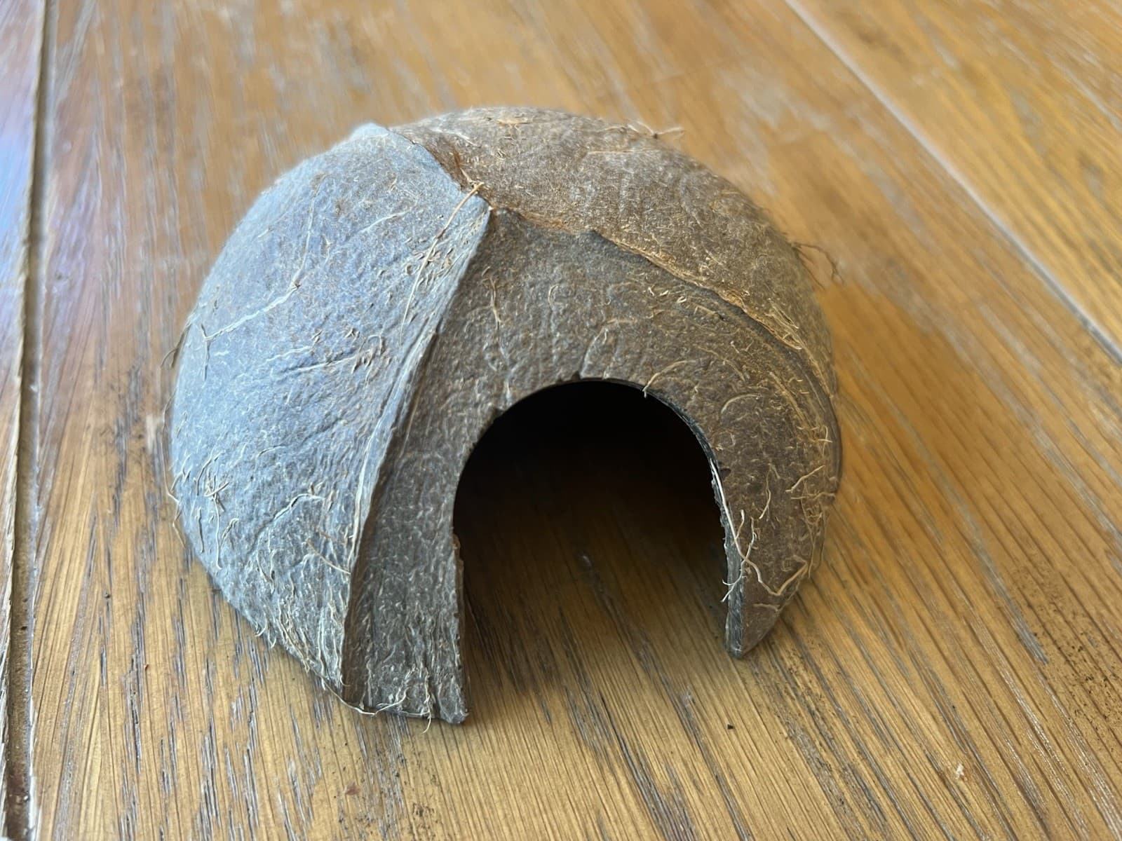 Aquarium Botanical Sampler Lot Indian Almond Leaves Cocoa Bael Lotus Pod Coconut 5