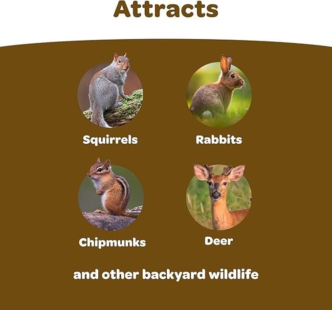 Kaytee Backyard Wildlife Food Blend For Wild Squirrels Chipmunks Rabbits and ... 2