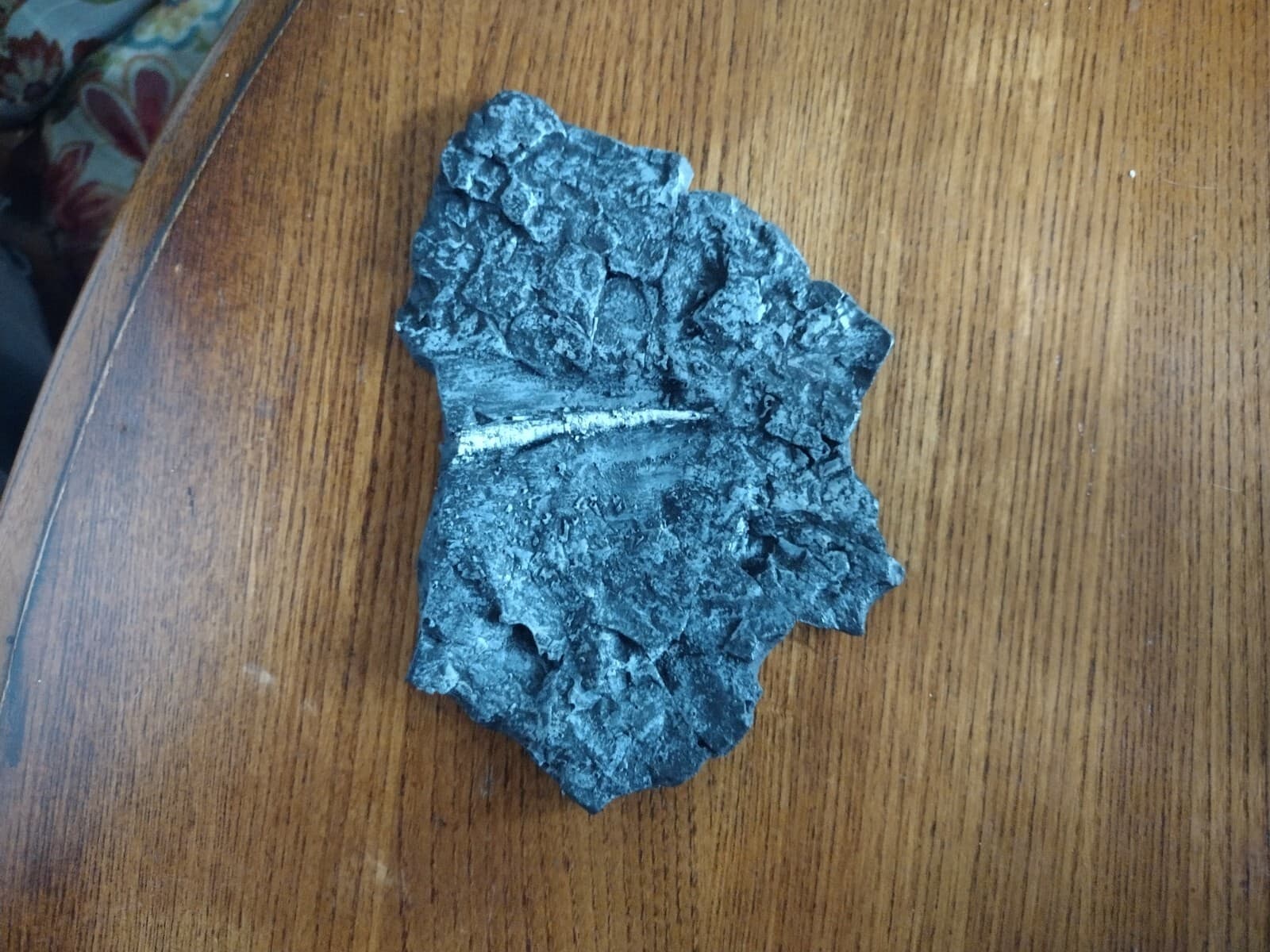 Dentalium Fossil Replica ( Mid miocene Mollusc) From Oregon Coast -paleontology 3