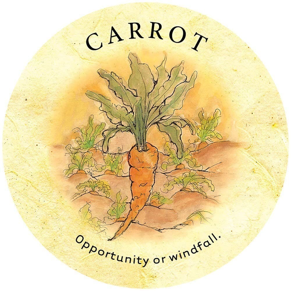 Tea Leaf Fortune Cards By Rae Hepburn 200 Tarot Card Deck + Pouch + Guidebook 3