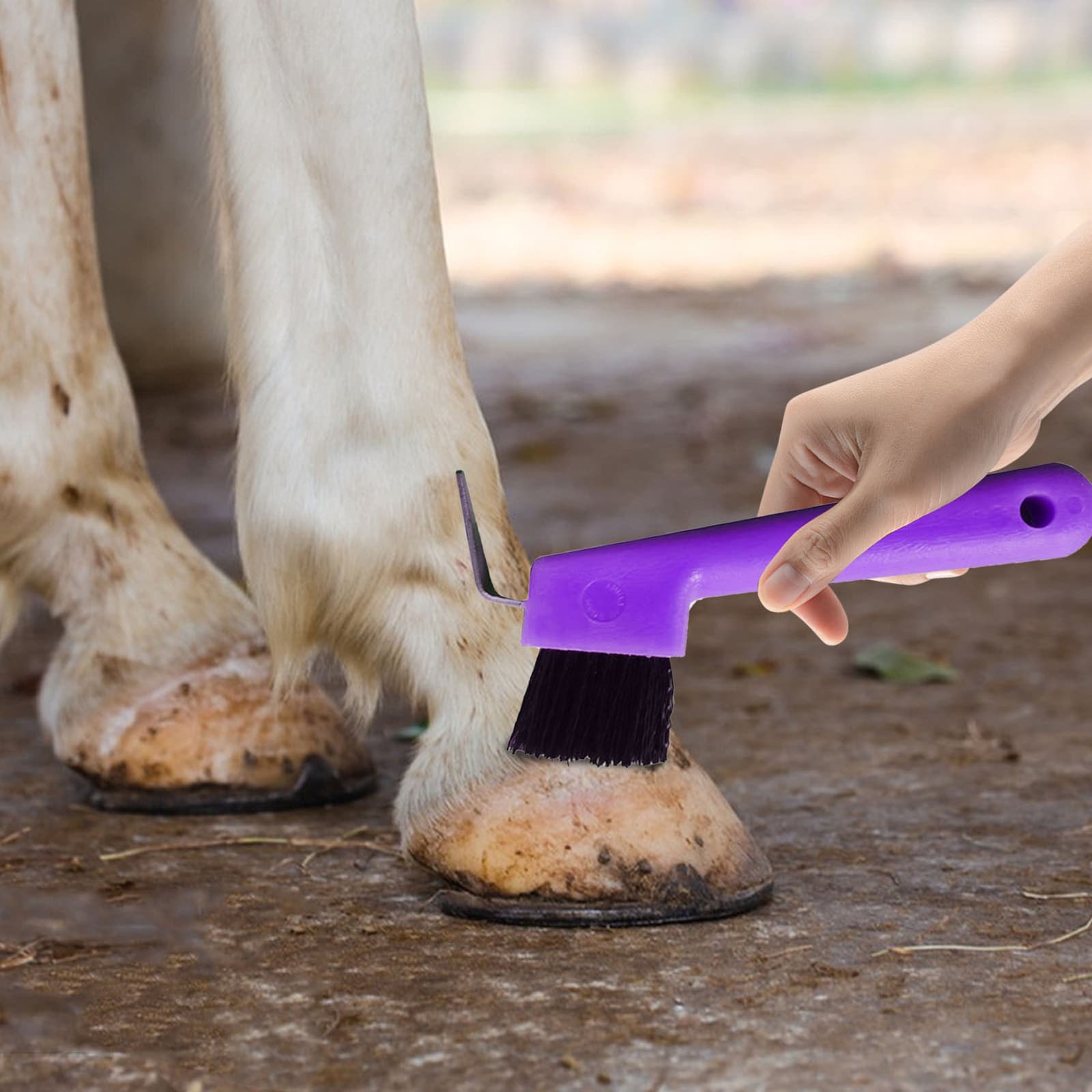 Animal Hoof Pick With Brush For Horses Cows Donkeys（Random color） 5