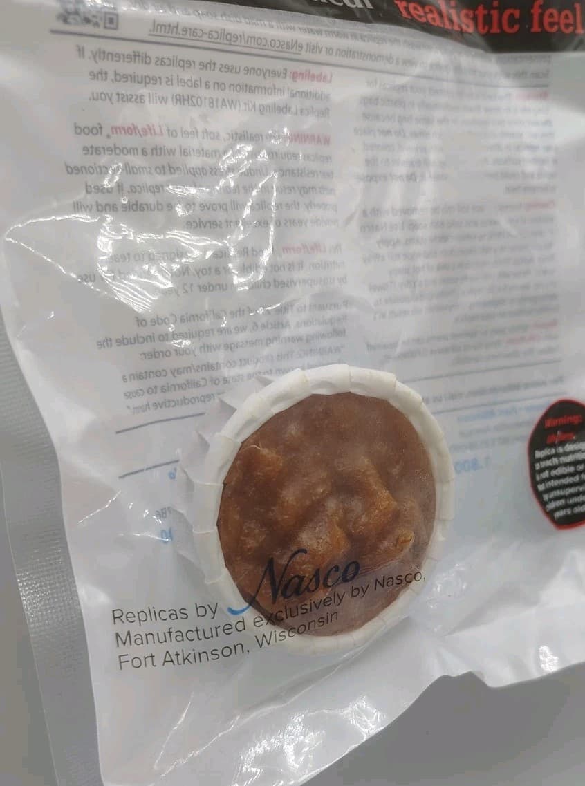 Life Form Food By Nasco Replica Food Lot Of 4 Pieces In Open Bags Condiments  3