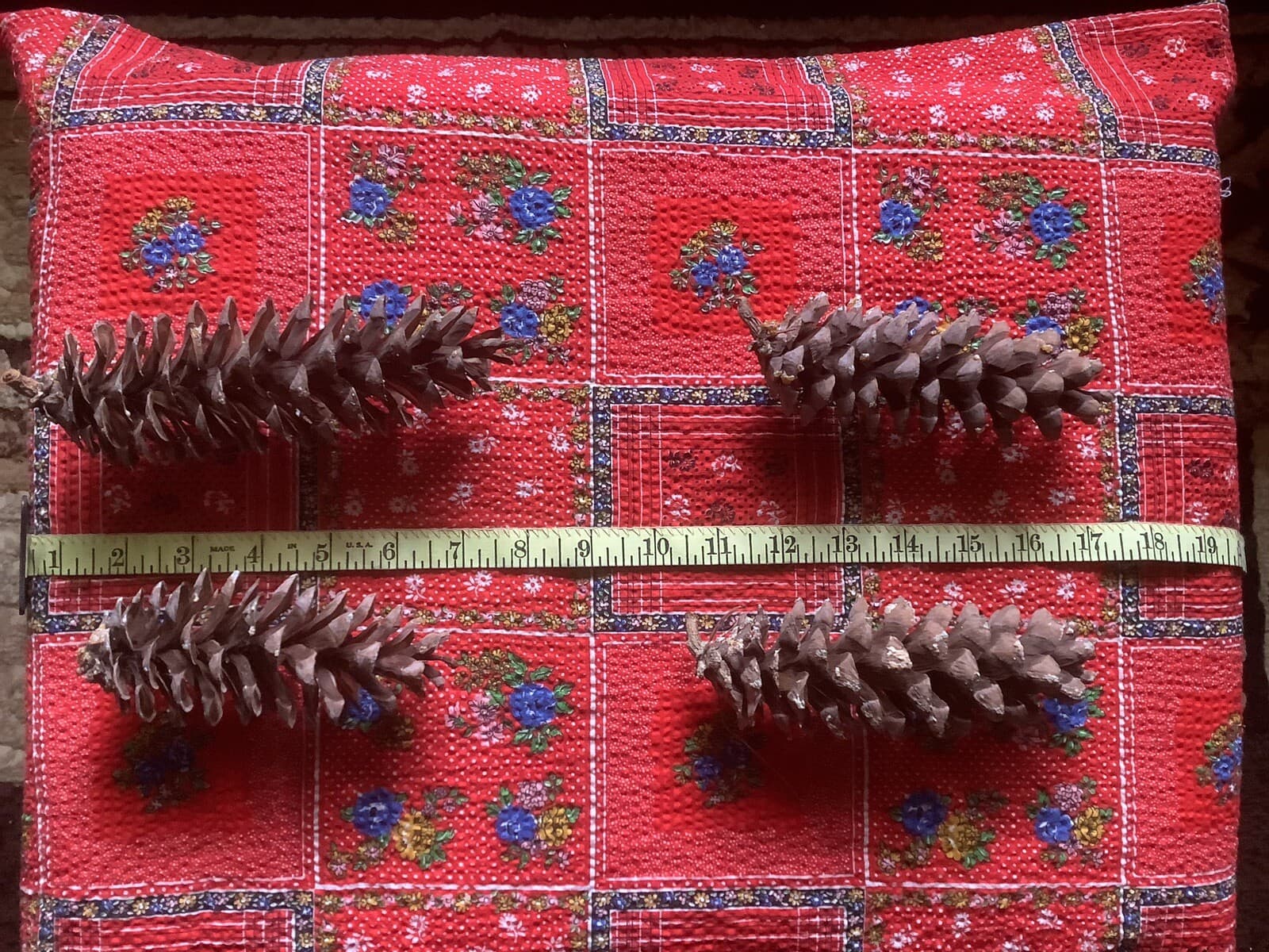 40+ Pine Cones 4” - 8” Great For Crafting Or Decorating 12”x9”x9” 1 3/4 Lb Box