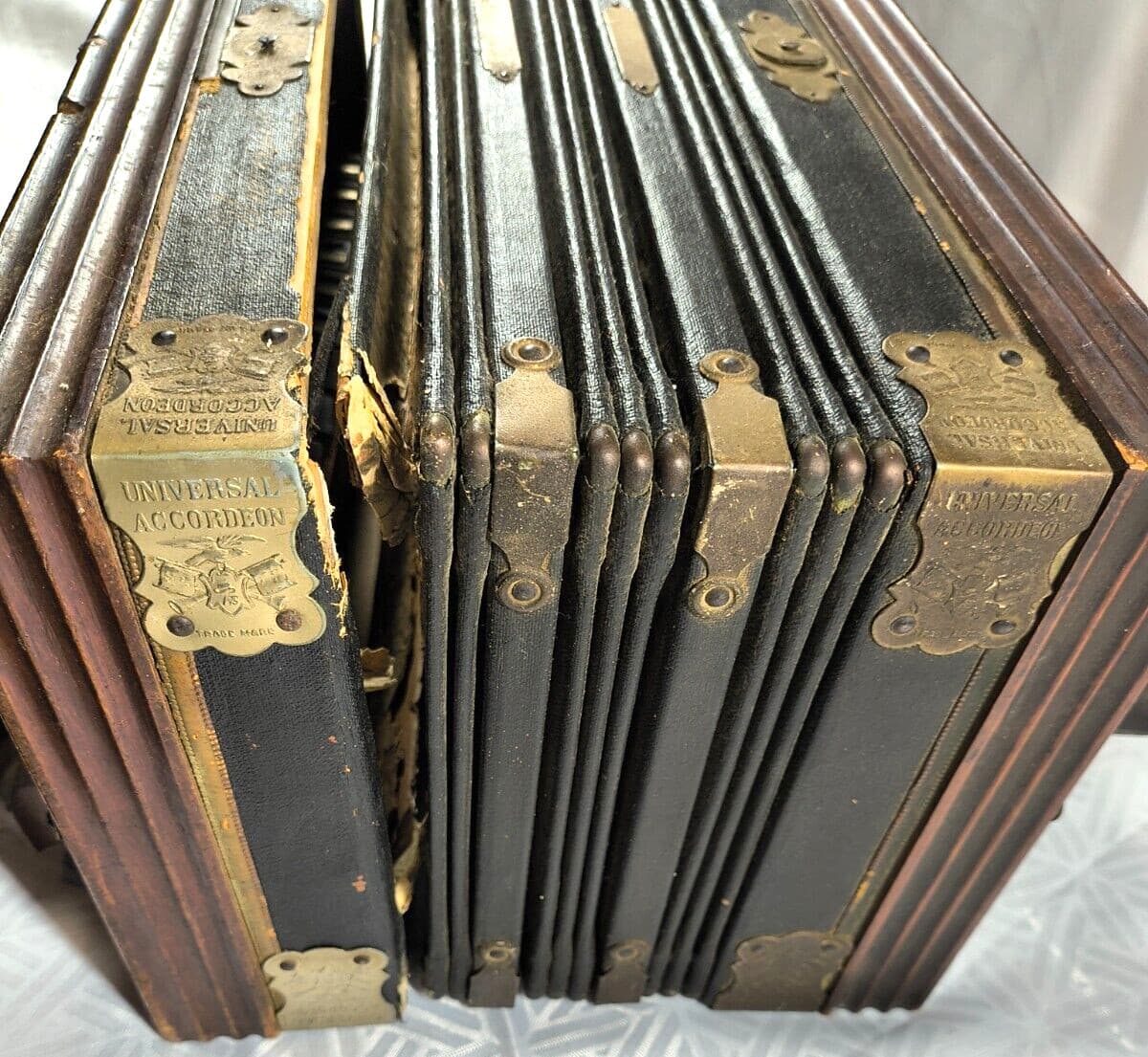 Antique UNIVERSAL ACCORDIAN - German "THE PITZSCHLER"  NO 35941  D.R.G. SCHUTZ 6