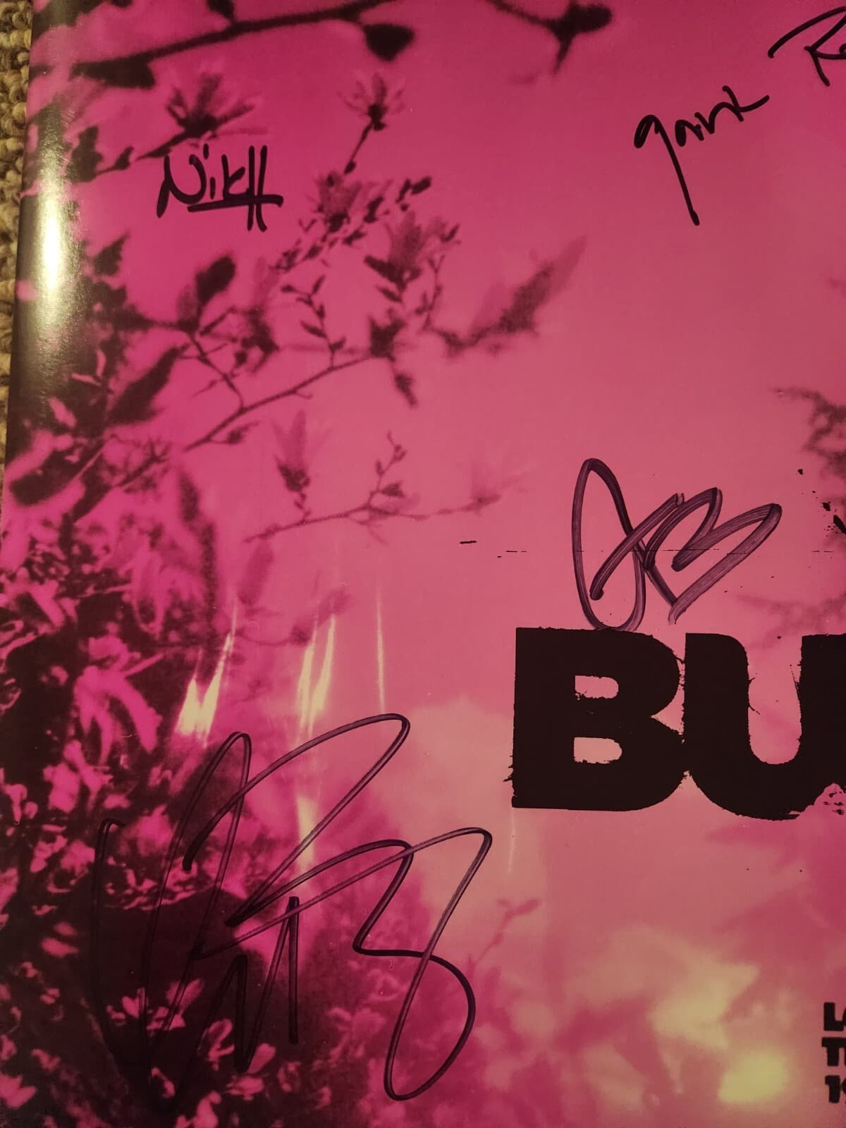 BUSH Greatest Hits SIGNED Album By Gavin Rossdale And Band 2024 3