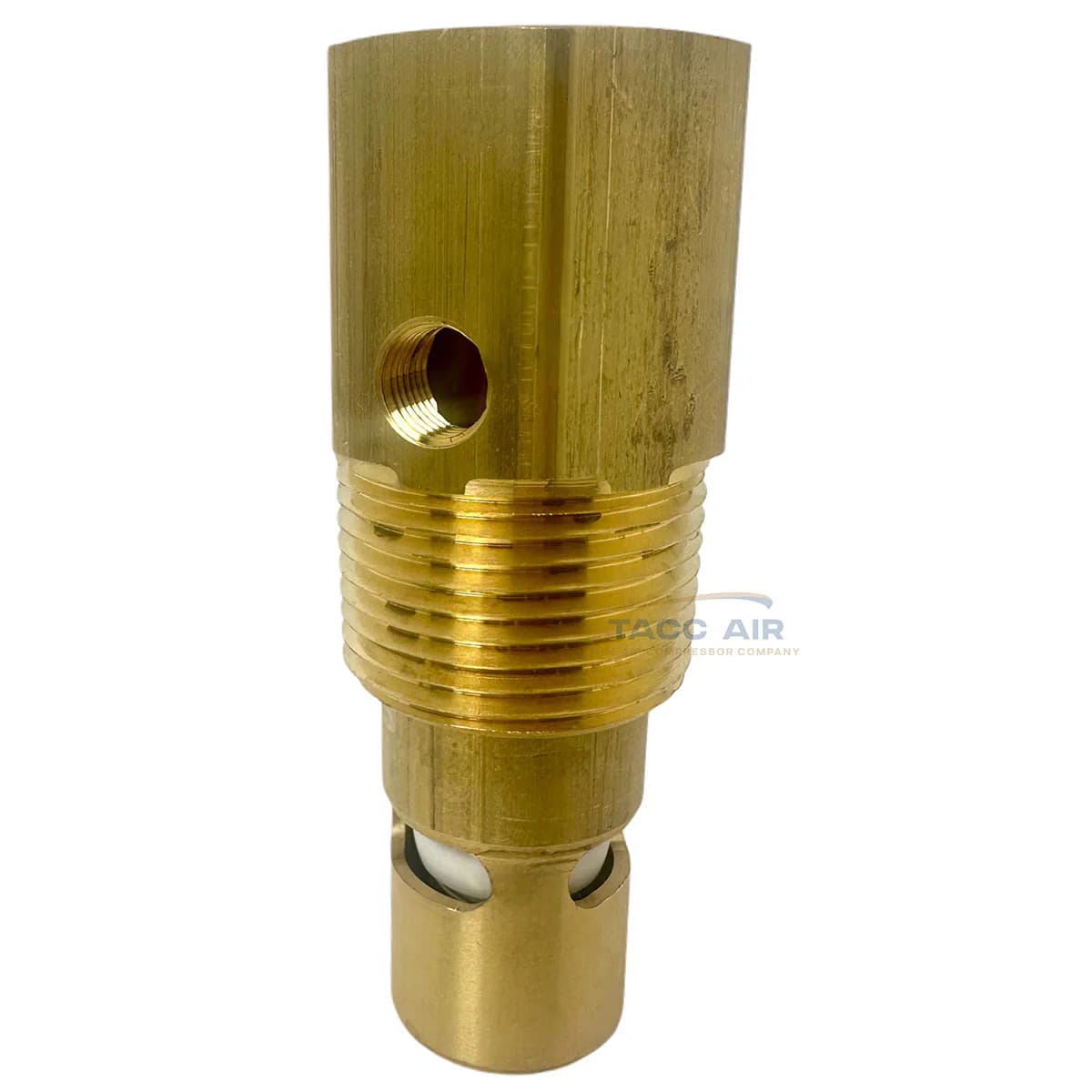 3/4" Female NPT x 1" Male NPT Air Compressor In Tank Check Valve Brass