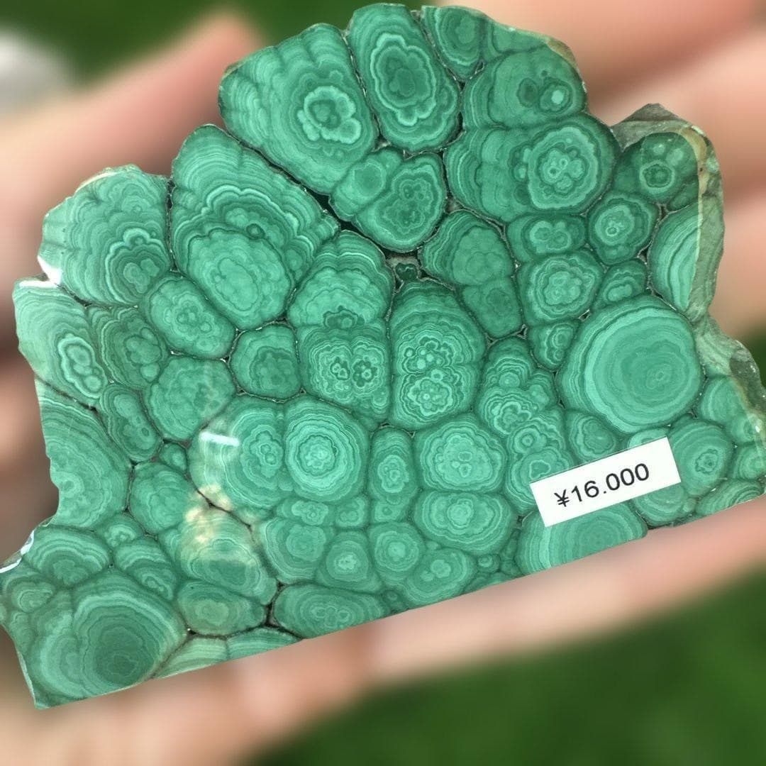 Suiseki Bonseki Bonsai Japanese Malachite Plate 3