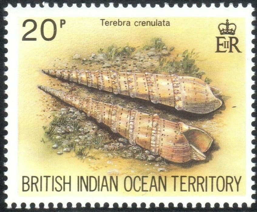 British Indian Ocean Territory Scott 172-175, SG #58-61 VF MNH Shells BIOT 1974 2