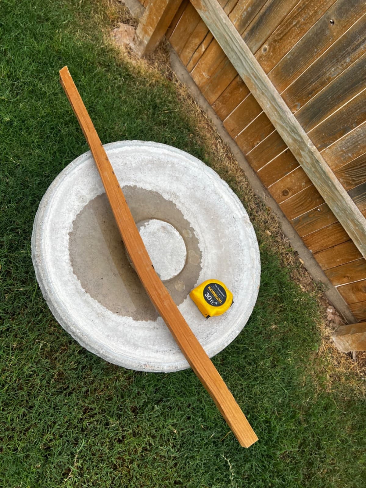 Premium SEASONED Osage Orange Bow Stave 2