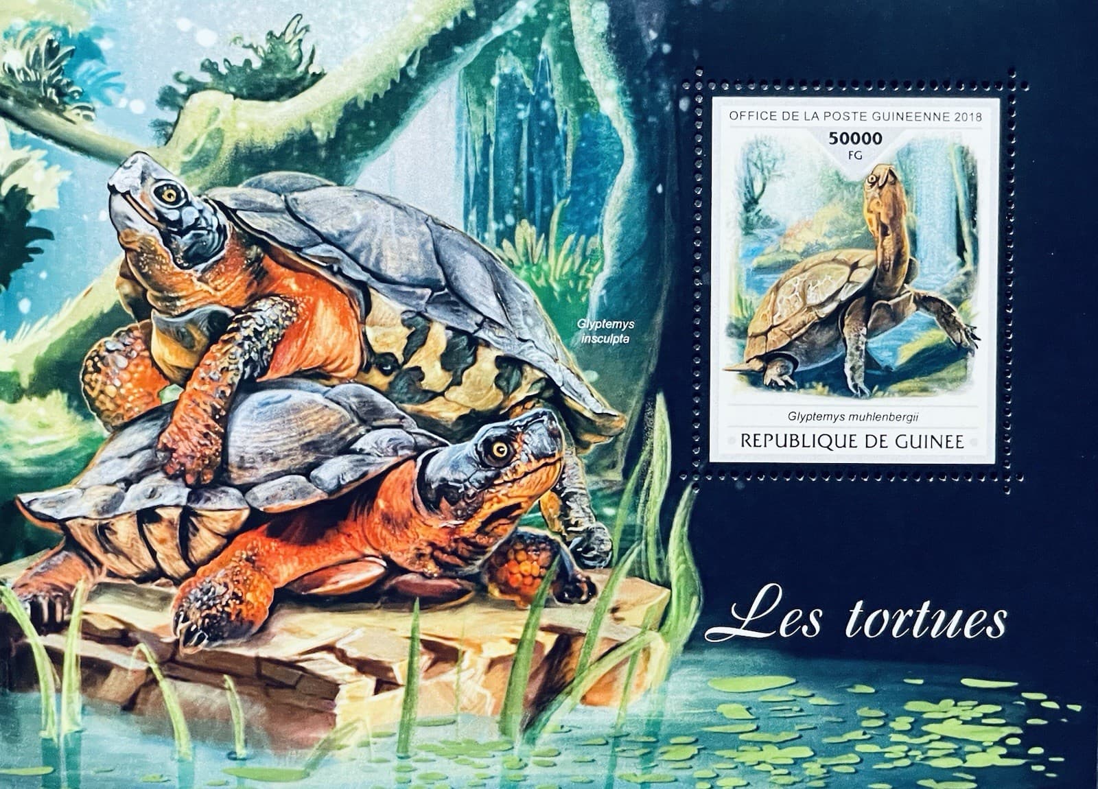 GUINEA BOG TURTLE SOUVENIR SHEET STAMPS MNH 2018 WOOD TURTLES REPTILE ANIMALS 1