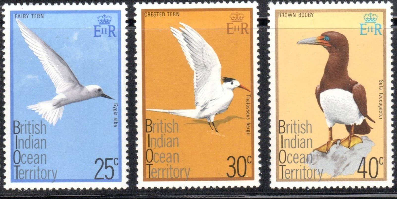 British Indian Ocean Territory Birds Scott 63-77 , SG #72-76 XF MNH BIOT 1975 5