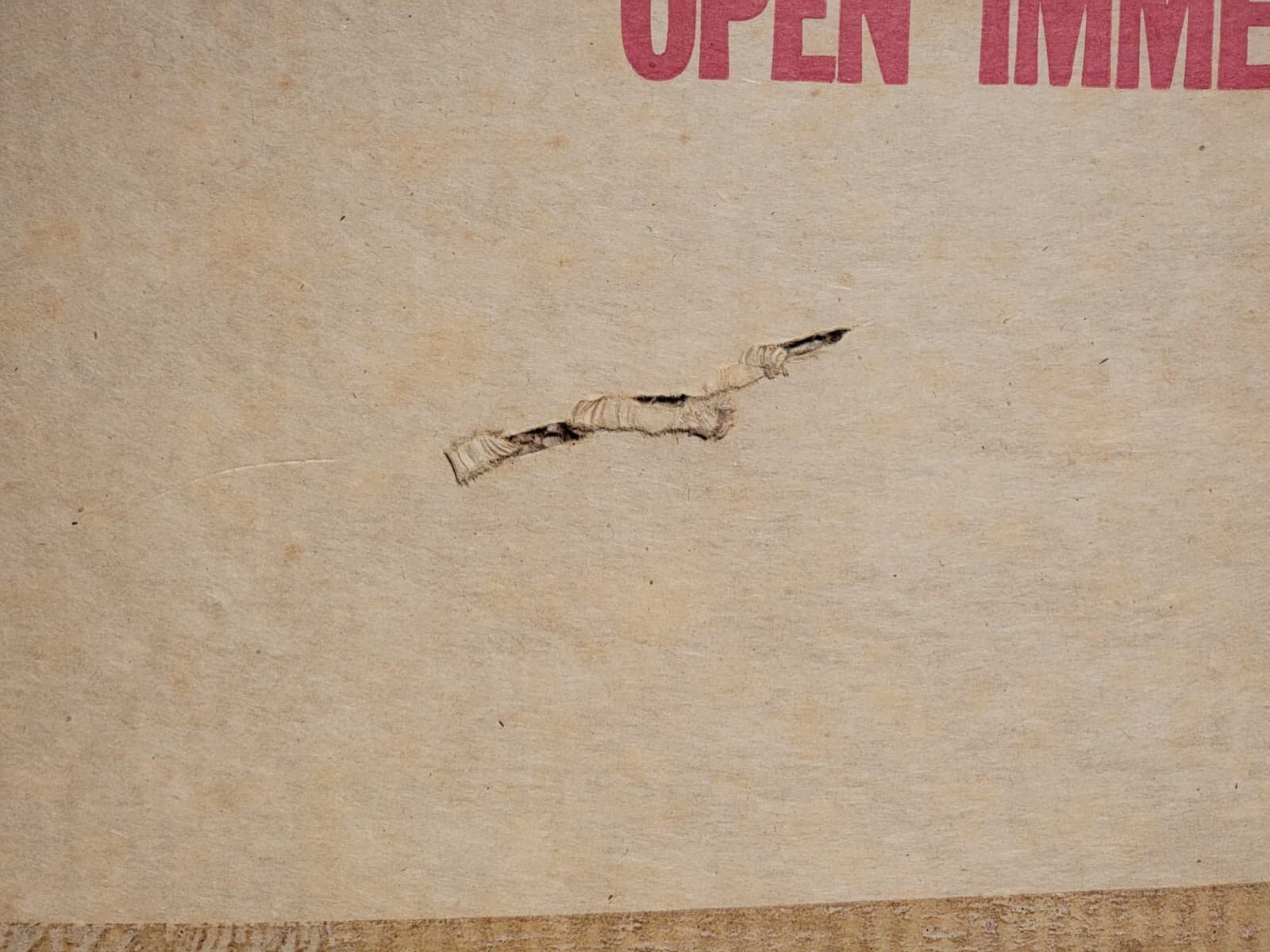 NEW A Nightmare on Elm Street 4: The Dream Master Movie Standee Display SEALED 6