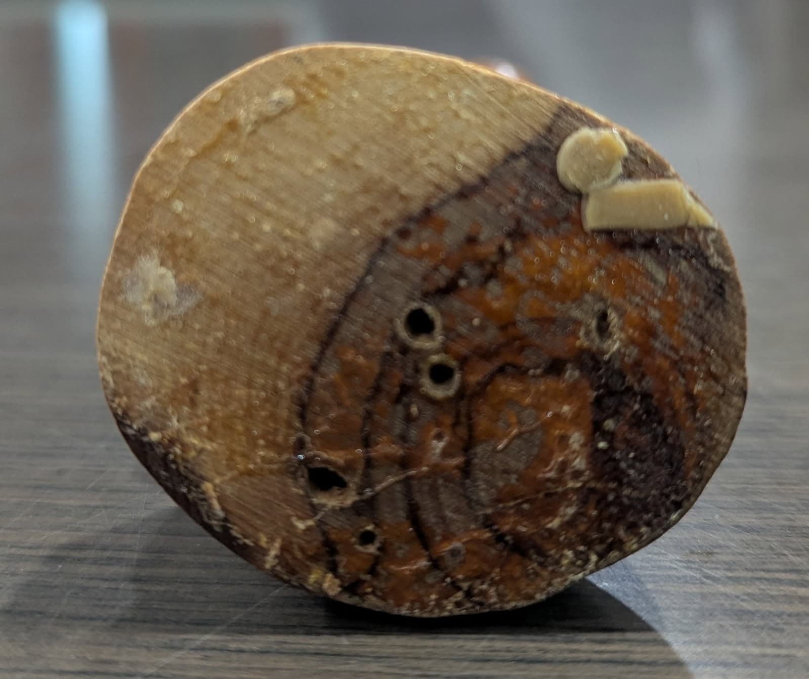 Vintage Olive Wood Hand Carving: Rebeccah at the Well. Made in Israel. 5