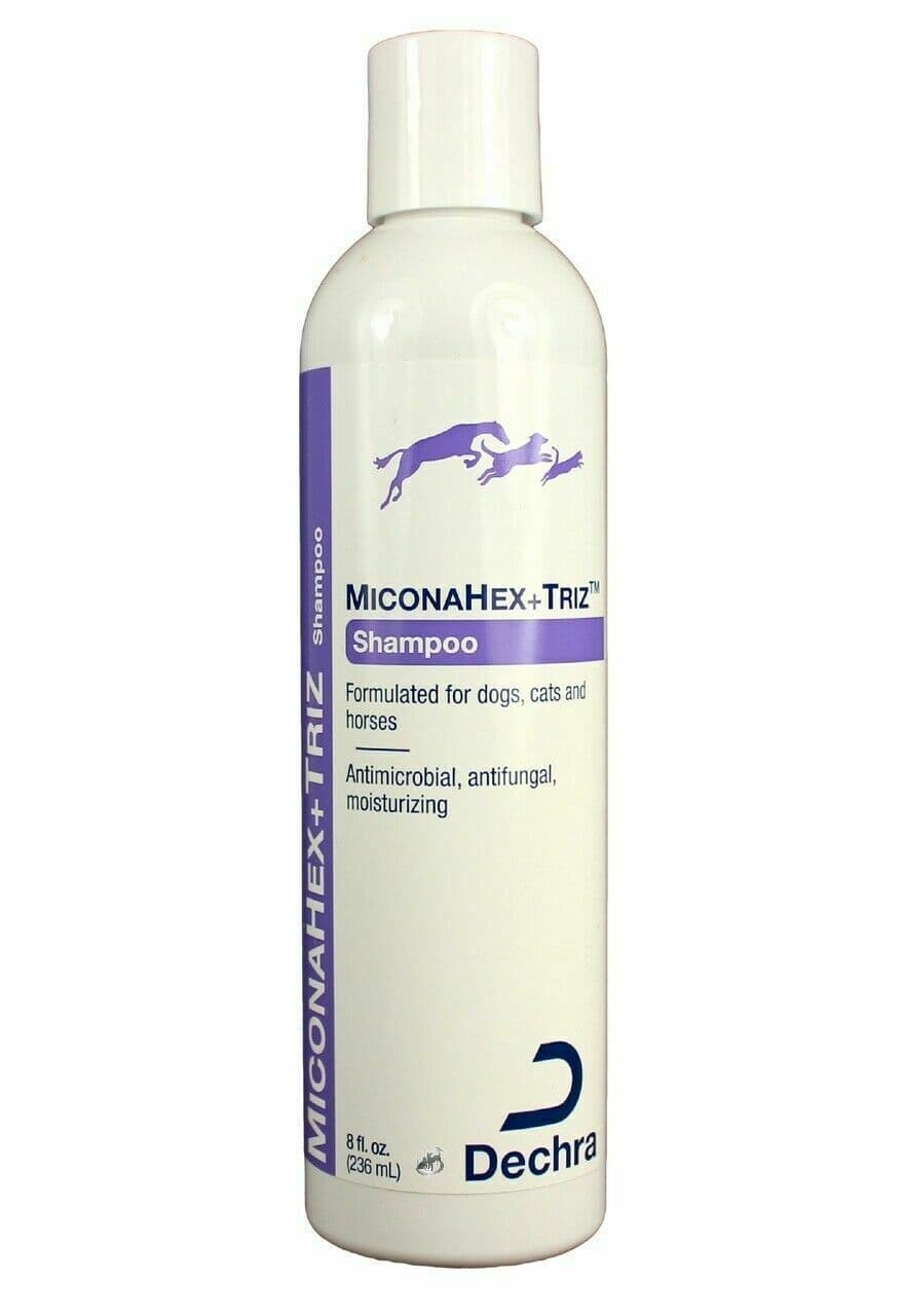 Dechra MiconaHex+Triz Shampoo | 8oz | Antimicrobial, Antifungal | Dogs Cat Horse