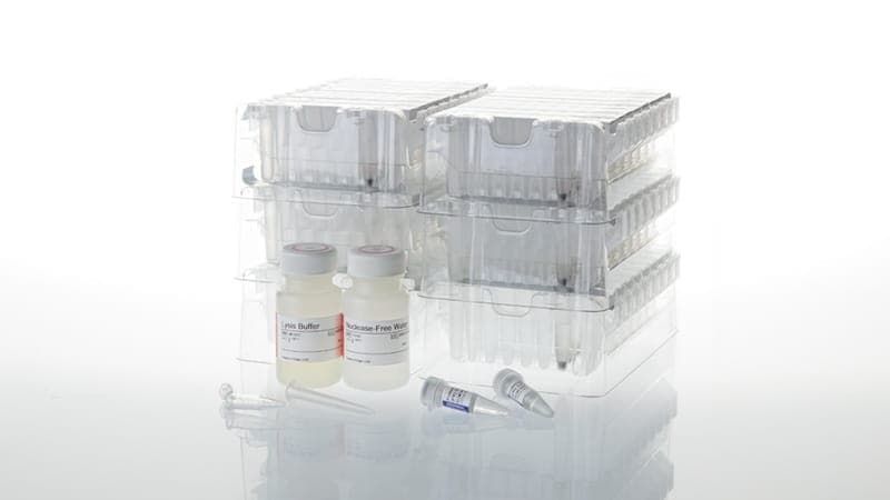 Promega Maxwell RSC Viral TNA AS1330 DNA RNA purification serum plasma EXP 2026 2