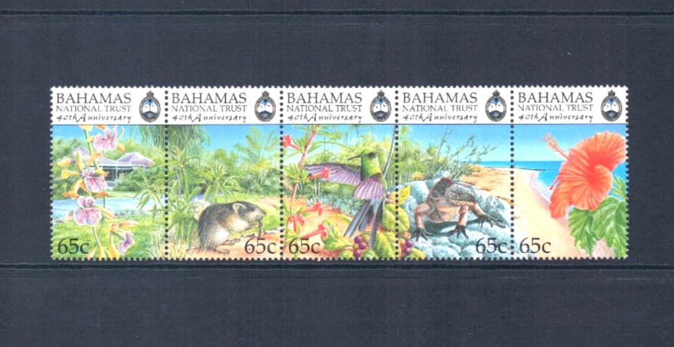 $13.50 Scott Value - 1999 BAHAMAS Wildlife Caribbean Sea Birds CV MNH NH UMM 3
