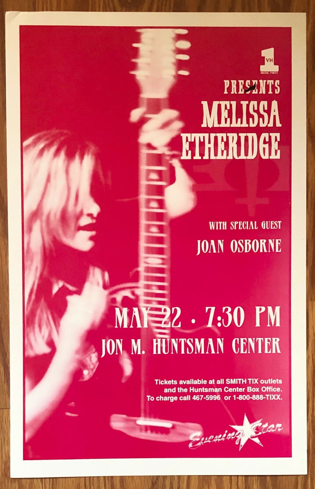 Melissa Etheridge Concert Poster 1995