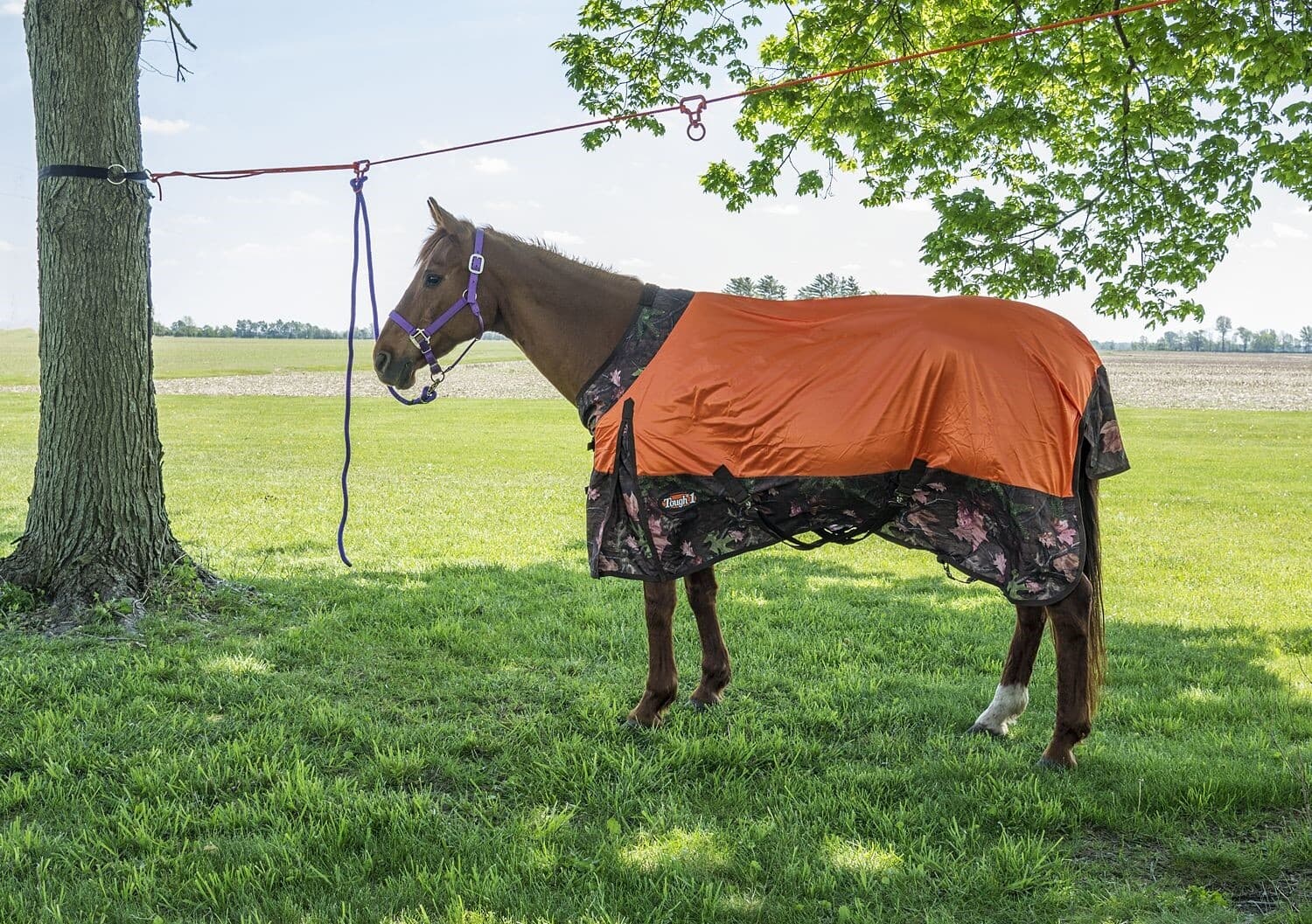 2 Horse No-Knot Picket Line Kit 6