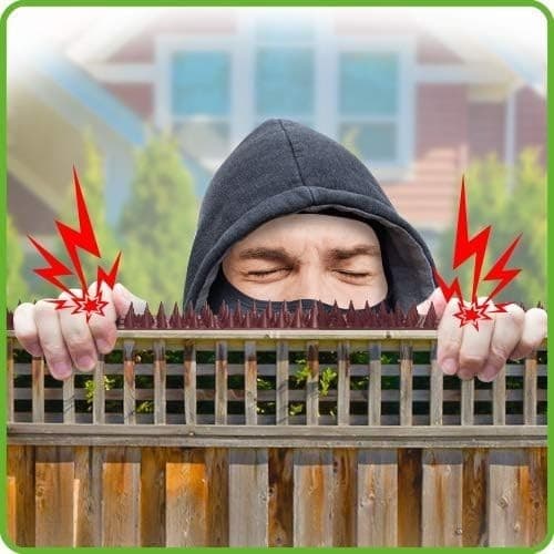 Cat Bird Repellent Spikes Outdoor Fence Security Plastic Deterrent Climb Strips 3