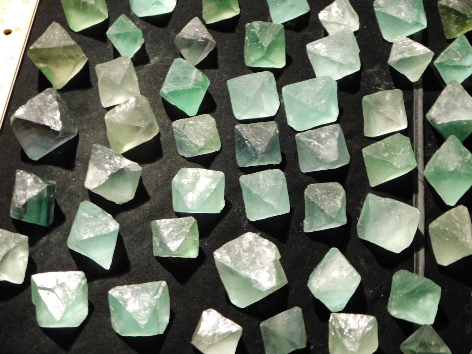 Over One Pound! or 500 Grams! Fluorescent FLUORITE Octahedron Crystals 4