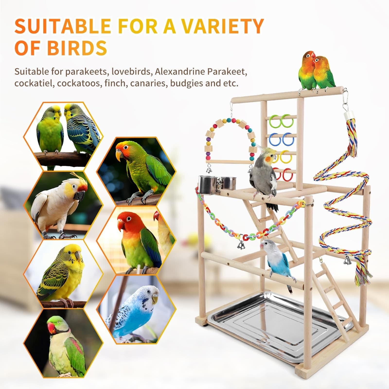 Bird Playground, Parrots Playstand for Small to Medium Birds, Perch Stand wit... 5