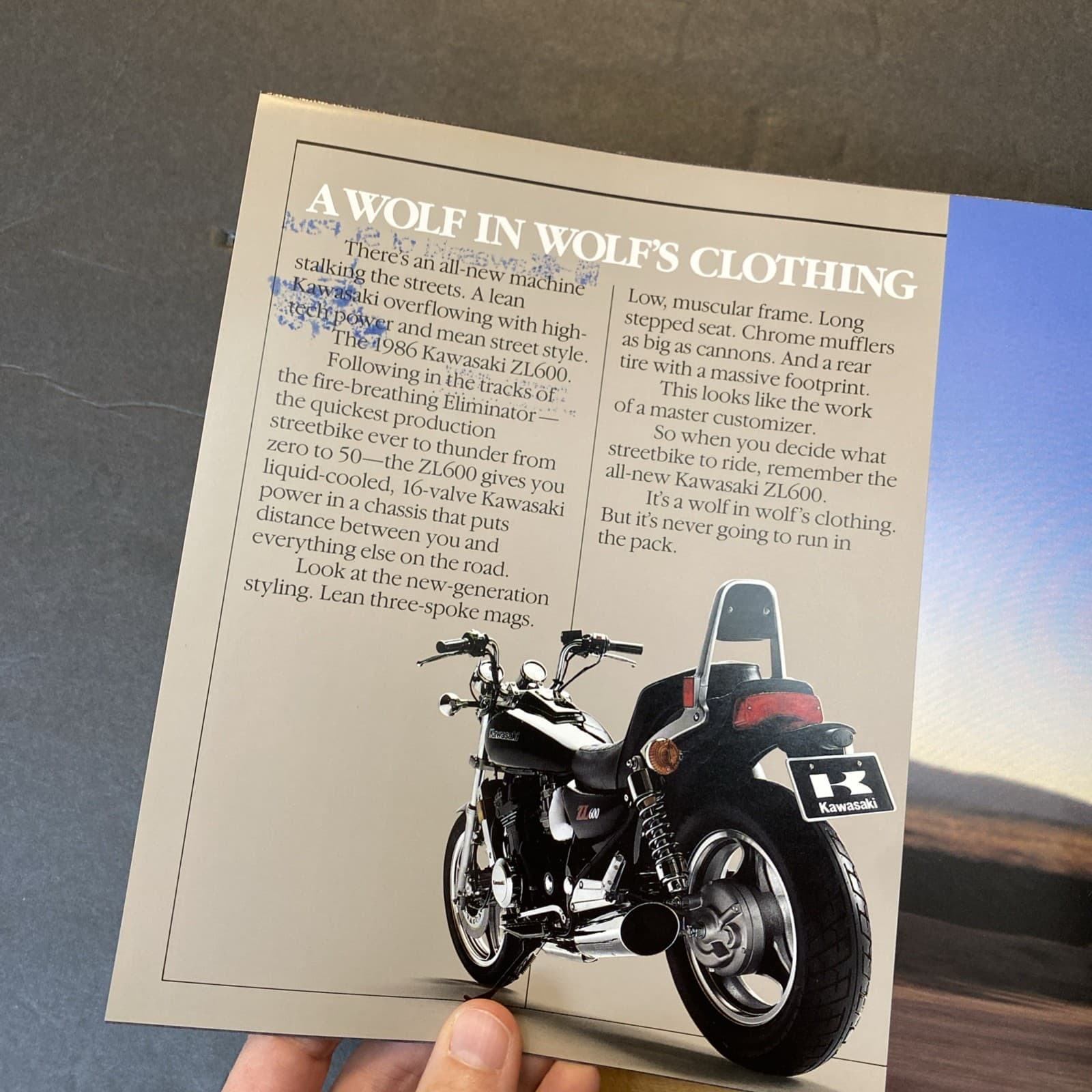 VTG Kawasaki ZL600 Motorcycle 1986 Full Color Glossy Sales Brochure Specs 5