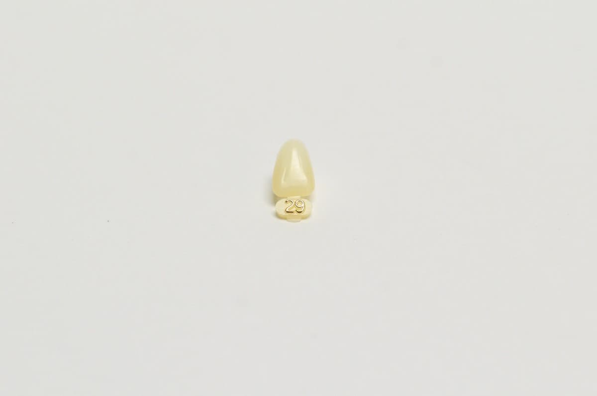 DENTAL POLYCARBONATE TEMPORARY CROWNS #29 (ULL) UPPER LEFT LATERAL 5/PACK 5