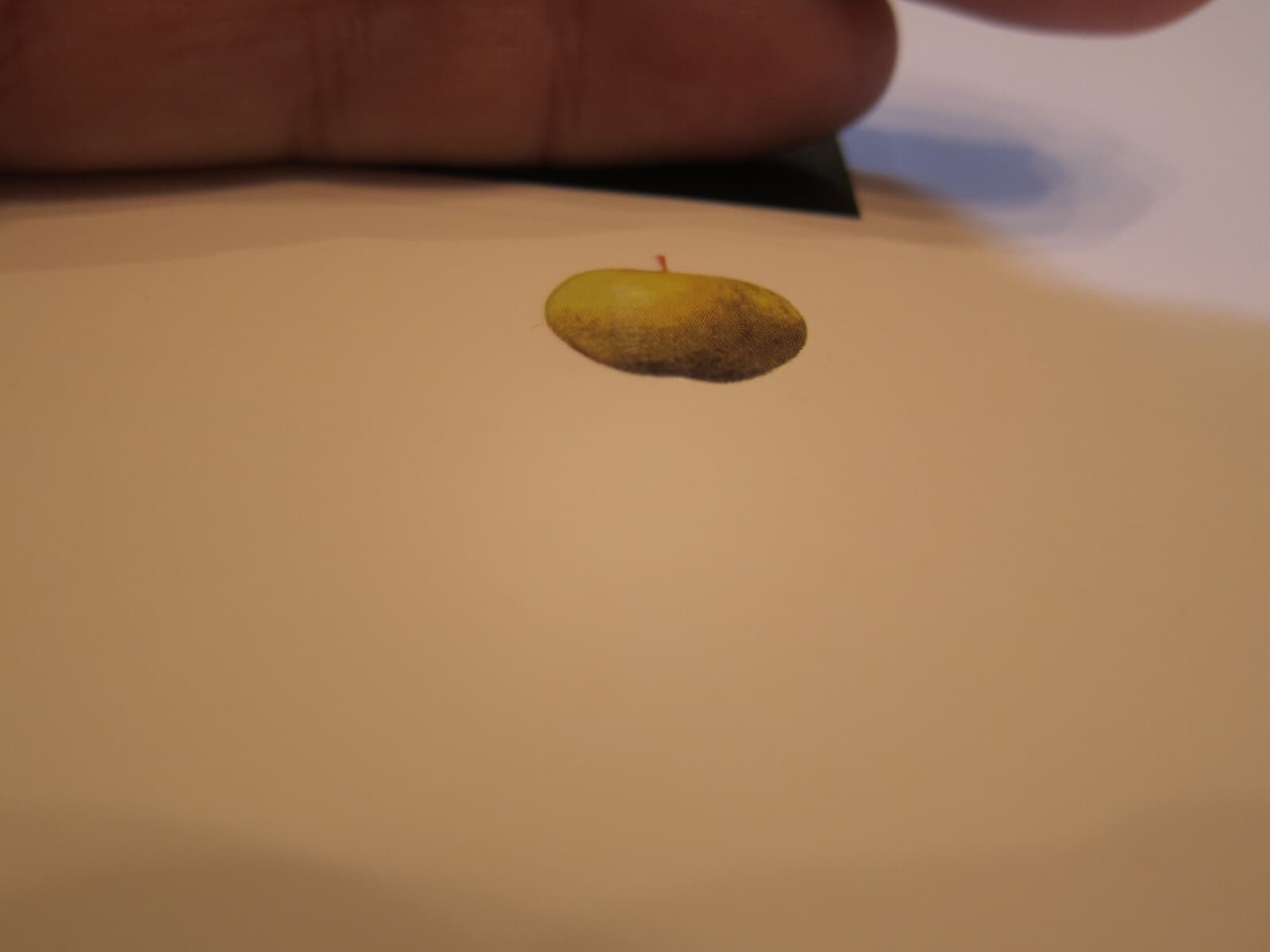 Beatles Let it Be Lithograph Album Poster Apple Licensed Plate signed 22x26 3