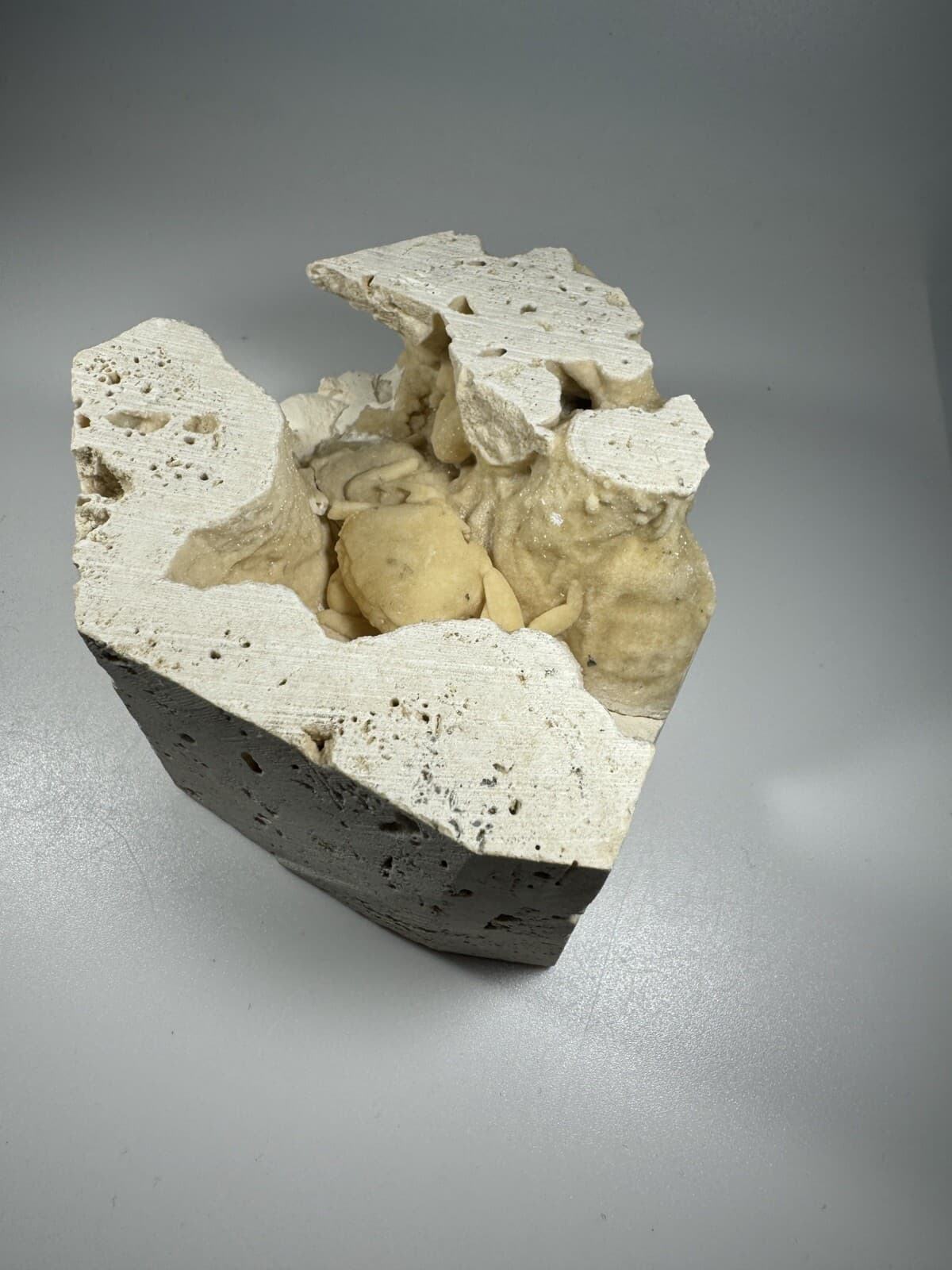 REPAIRED 1.75 Inch Travertine Crab Fossil Turkey, Fossil Travertine Crab Potamon 5