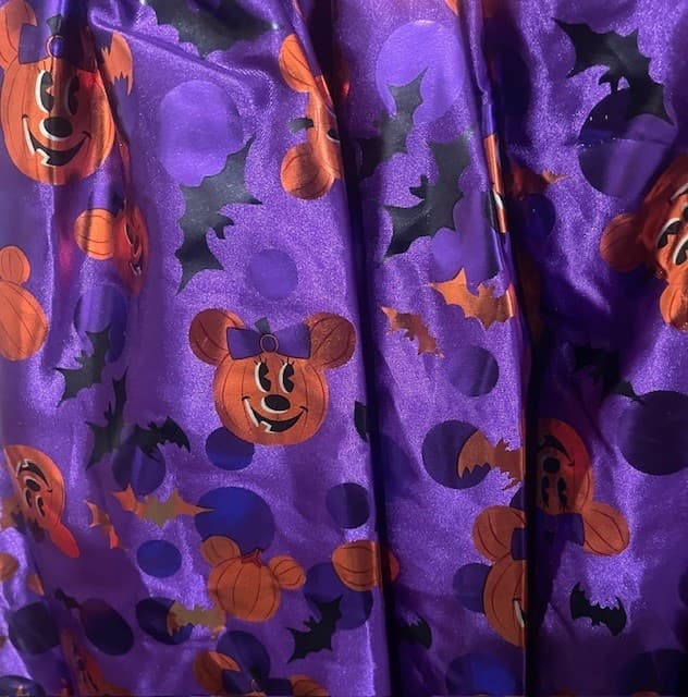 DISNEY PARKS GIRLS 3 MINNIE MOUSE WITCH  IRIDESCENT COSTUME WITH HEADPIECE NWT 4