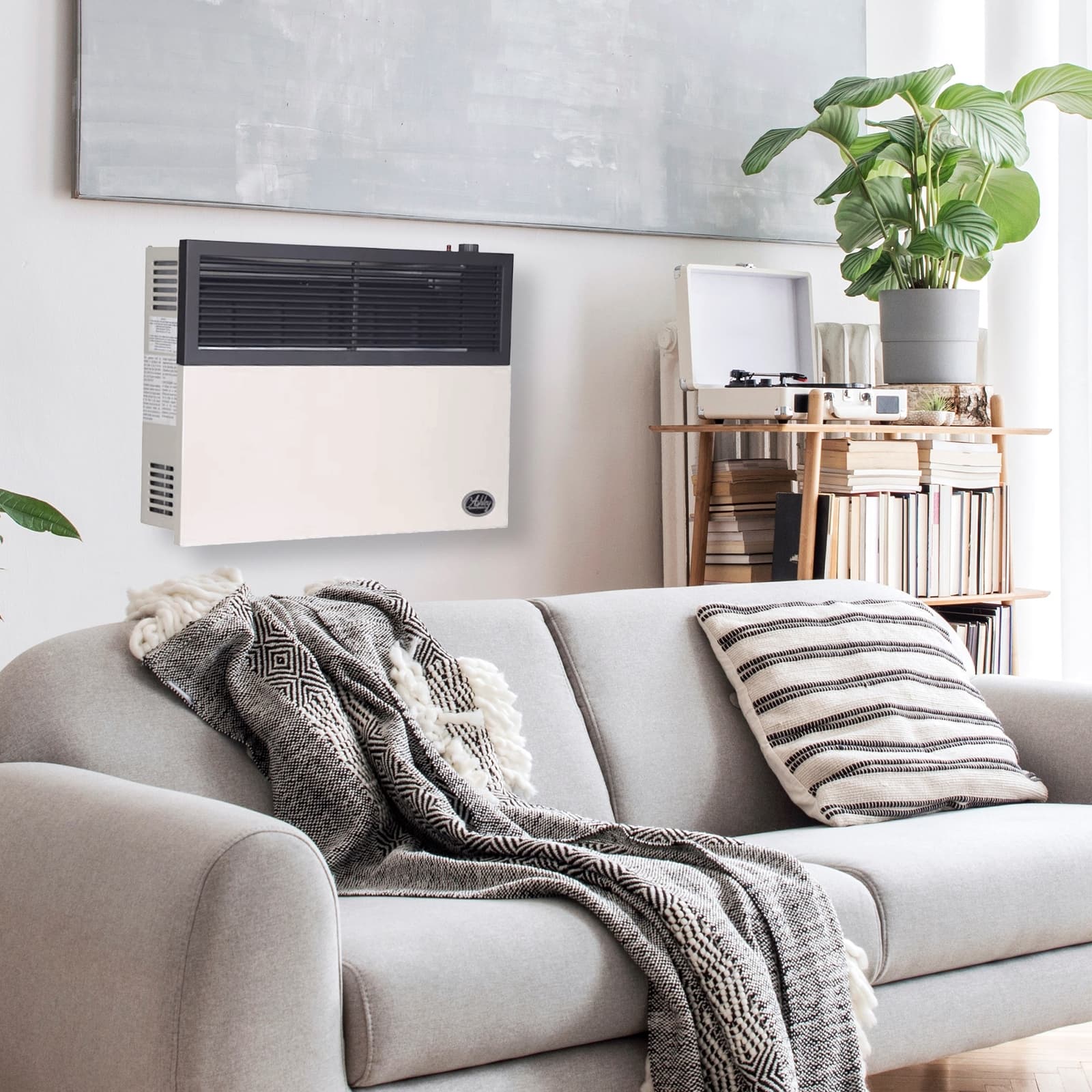 Ashley Hearth Products Direct Vent Liquid Propane Wall Mount Heater 4