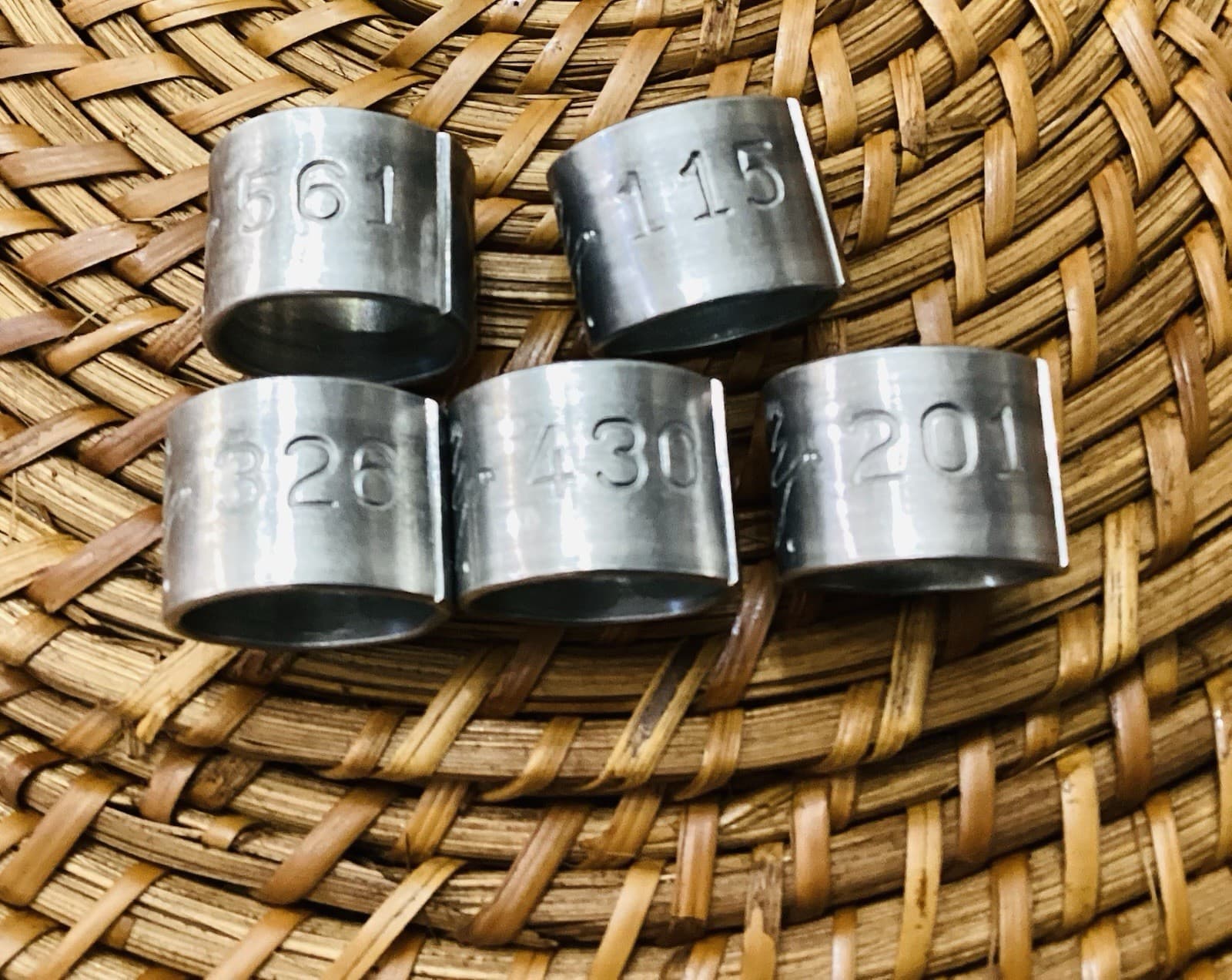 2003 Current River NWTF National Wild Turkey Federation Hunting Band (5 TOTAL) 5