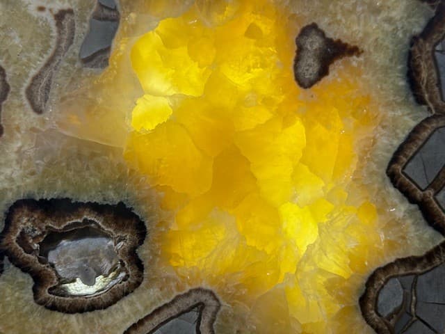 RARE  7 9/16"  SEPTARIAN SLAB W/ FOSSIL CRAB  ,A+ QUALITY: & FL/PHOSPHORESCENT! 6