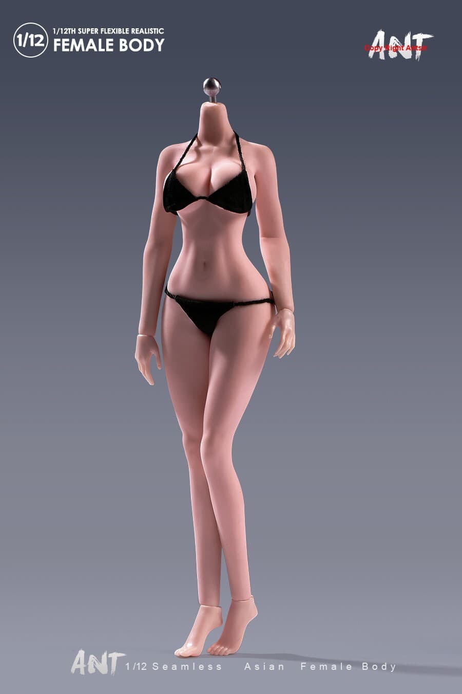 US ANT 1:12 Suntan Large Breast Plump Hip Seamless 6"Female Action Figure Body 4