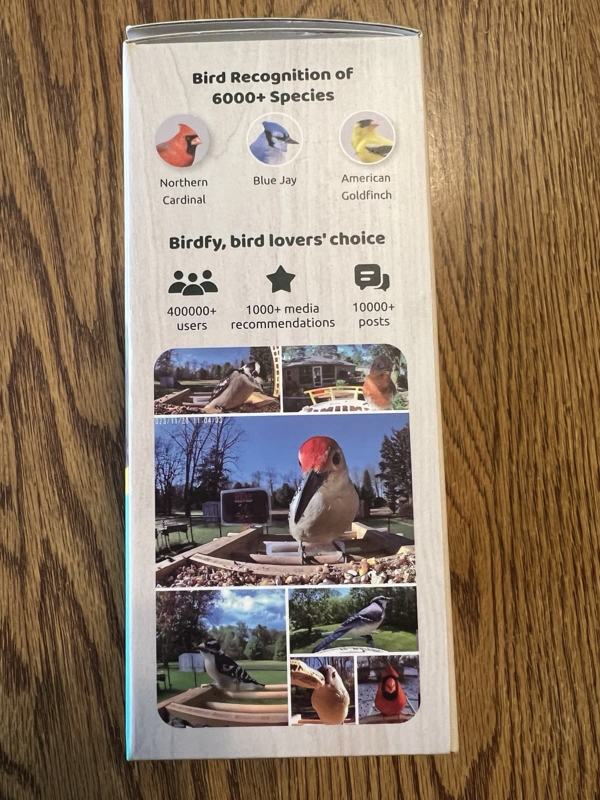 Birdfy Bird Camera Cyan 4