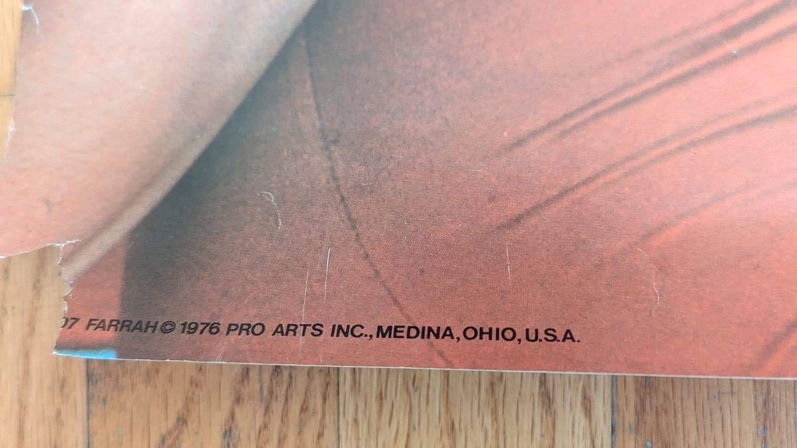 FARRAH FAWCETT ORIGINAL 1976 PRO ARTS ICONIC PIN UP POSE POSTER $25 2