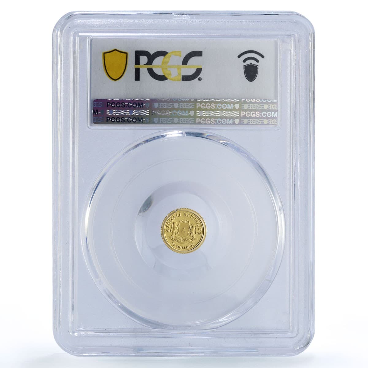 Somalia 250 shillings Elephant African Wildlife Fauna PR69 PCGS gold coin 2004 3