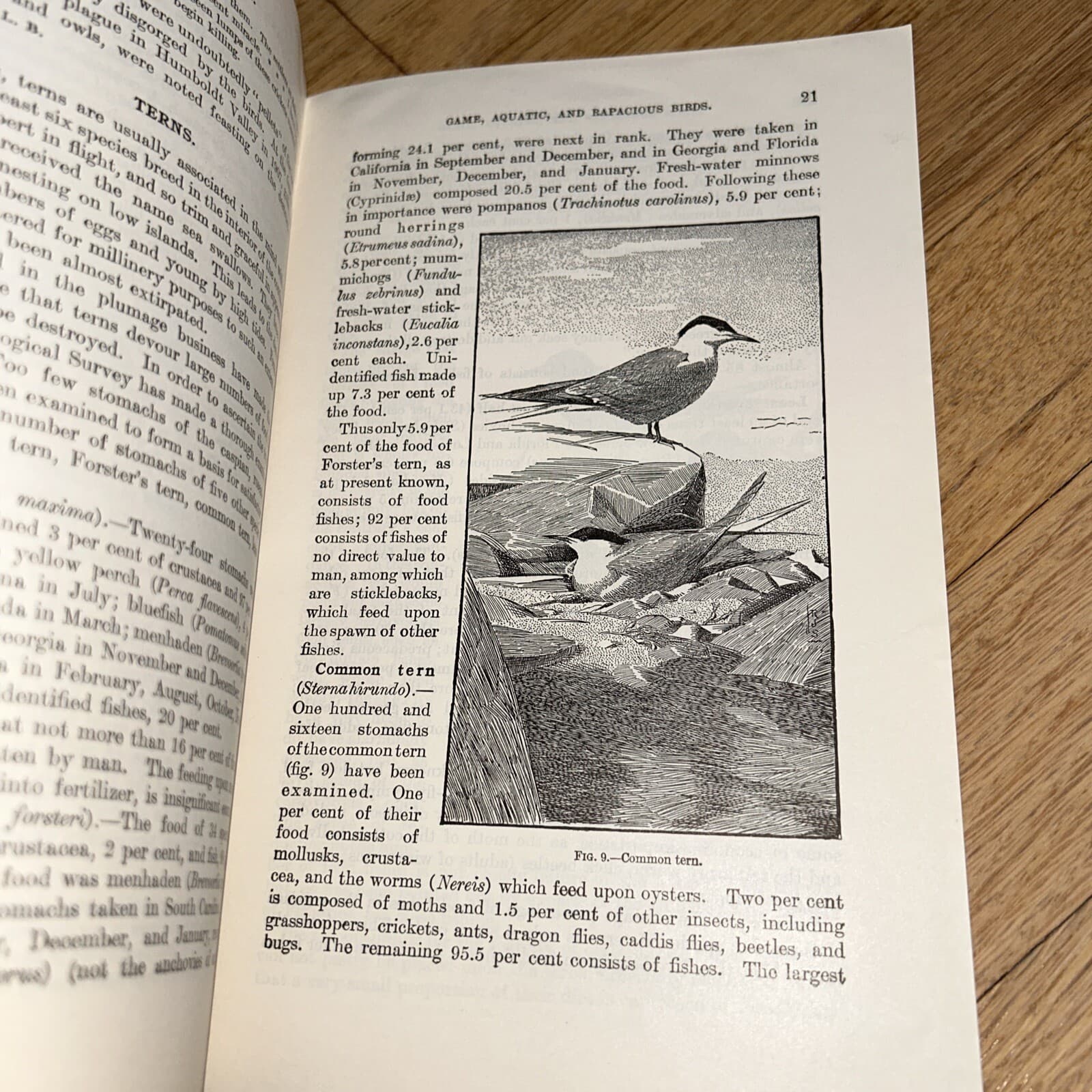 2 USDA Books COMMON USEFUL BIRDS / GAME AQUATIC & RAPACIOUS BIRDS 1926 / 1924 6