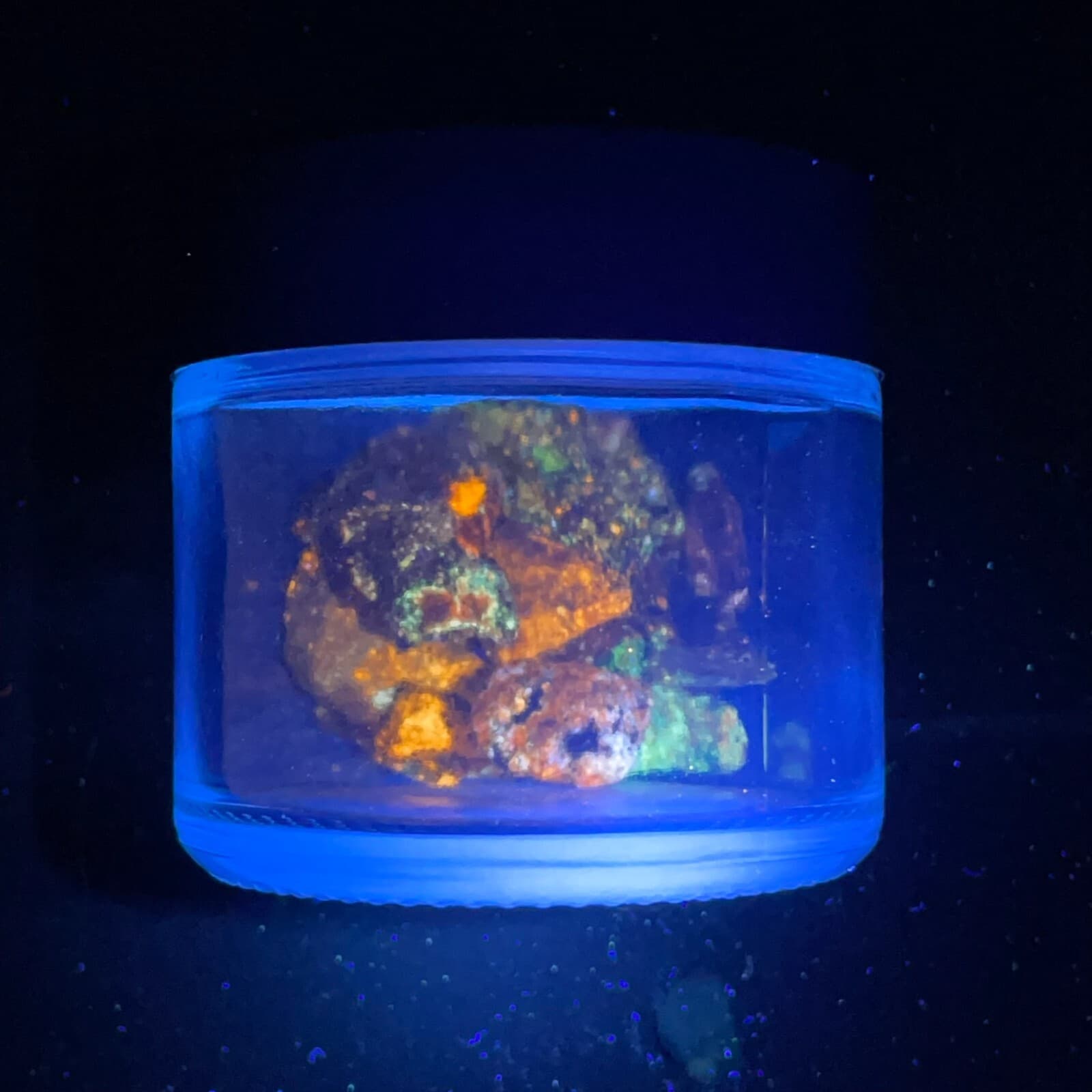 1oz Fluorescent Sphalerite Chips Shaker, Horn Silver Mine,  Triboluminescent! 4