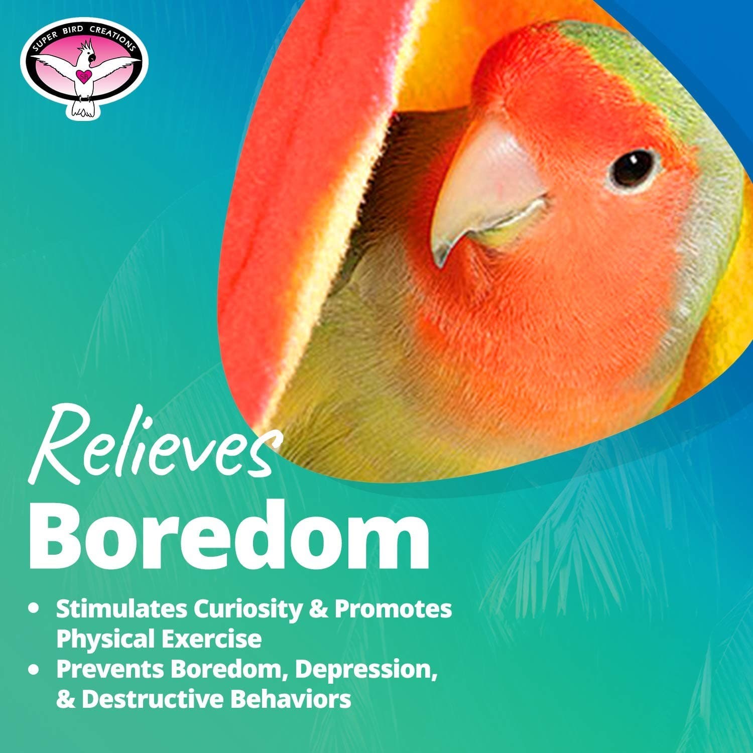 Super Bird Creations SB473 Peekaboo Perch Tent for Small Birds, Bird Bed & Pa... 4