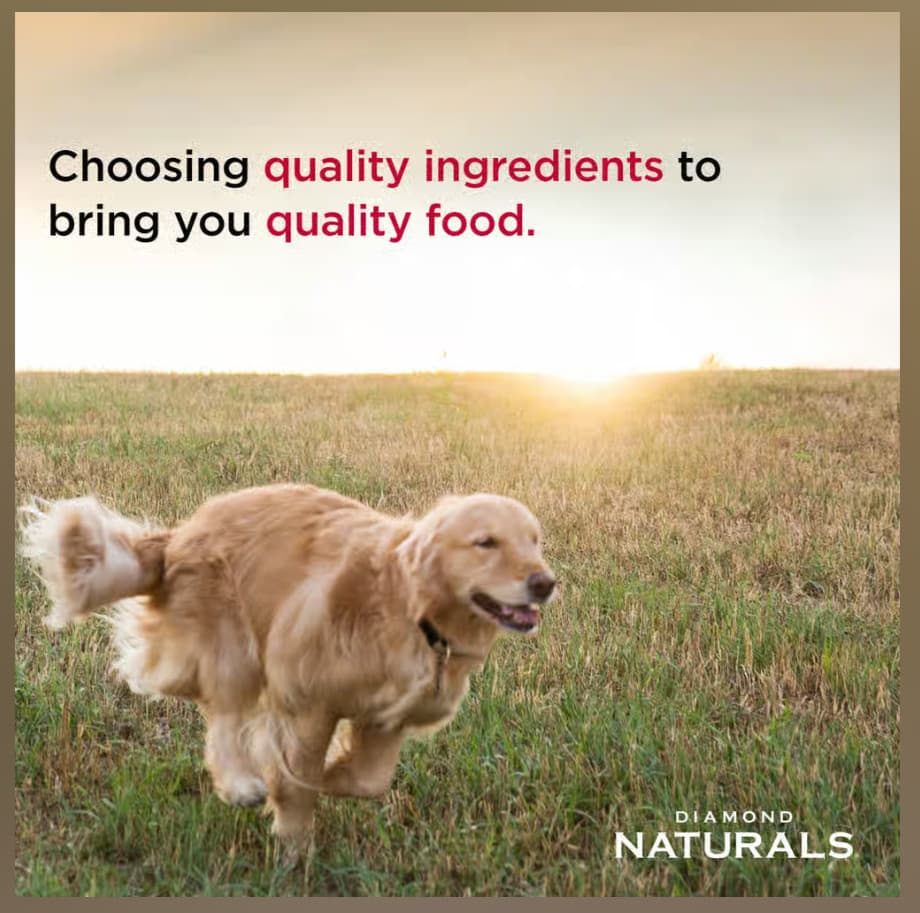 2 Pack Diamond Naturals Adult Dry Dog Food - Lamb Meal & Rice, 40-lb 5