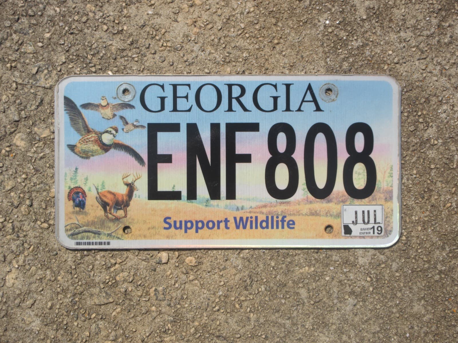 2019 Georgia Deer License Plate GA Turkey Bobwhite Quail Support Wildlife ENF808