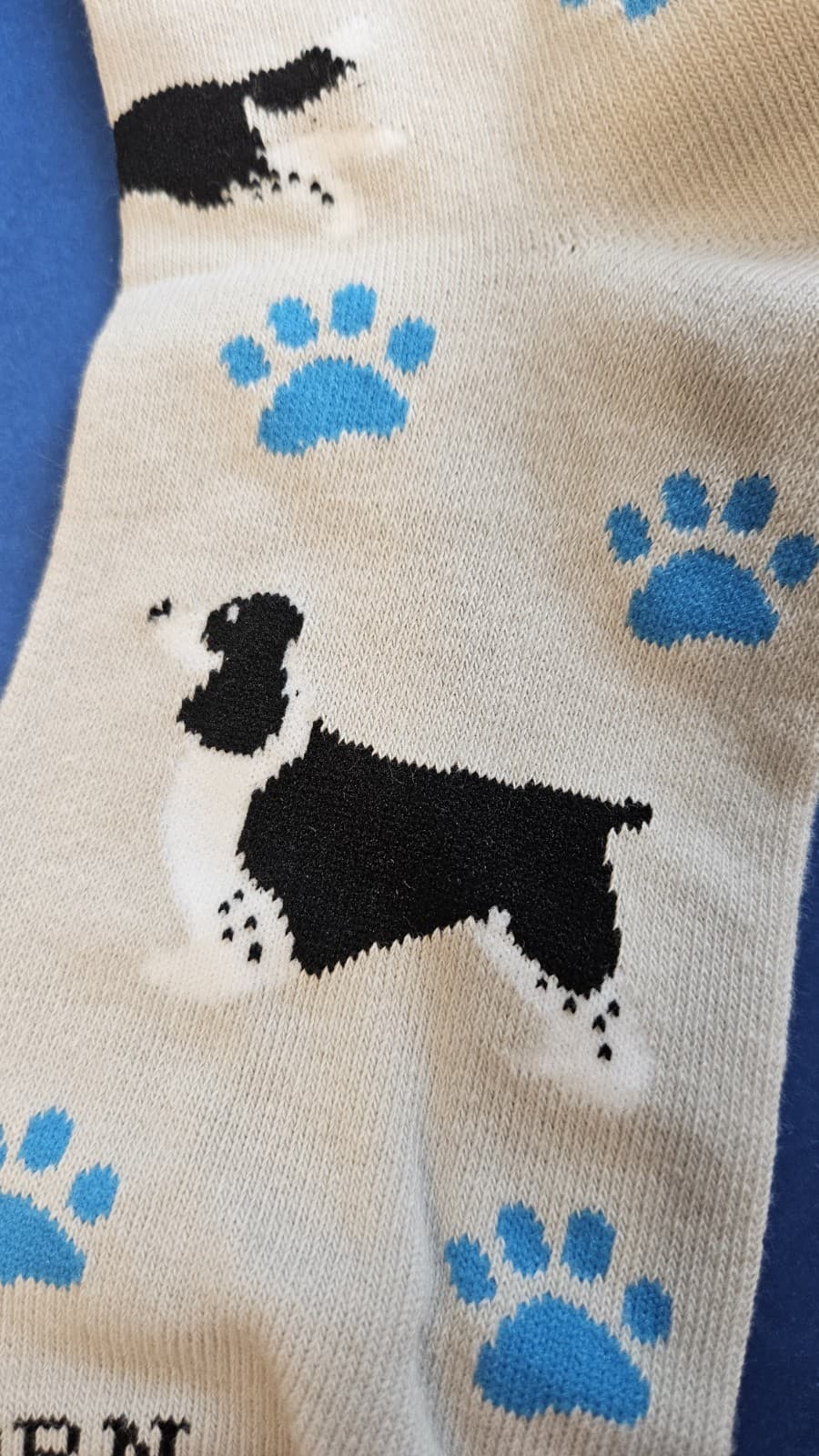 New English Springer Spaniel Puppy Dog Ladies Novelty Socks Free Shipping! 3