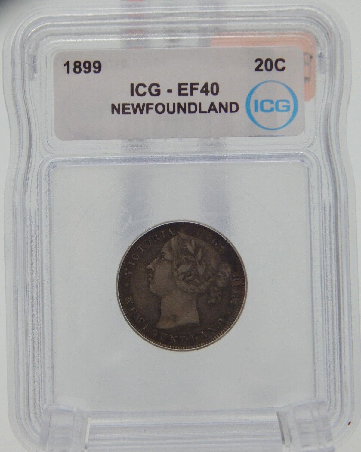 1899 NEWFOUNDLAND 20c TWENTY CENTS ICG EF40 (BT601)